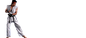 街机游戏《街头霸王》历代波动拳赏析,经历了几个时代