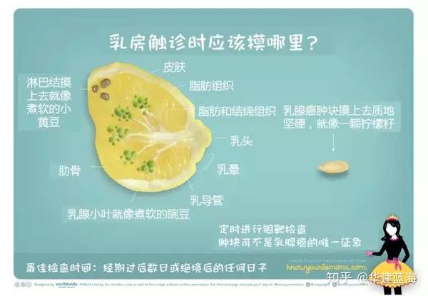 她用12个柠檬描述乳腺癌的12种不同形态:厚块,皮肤压痕,皮肤疼痛,发红