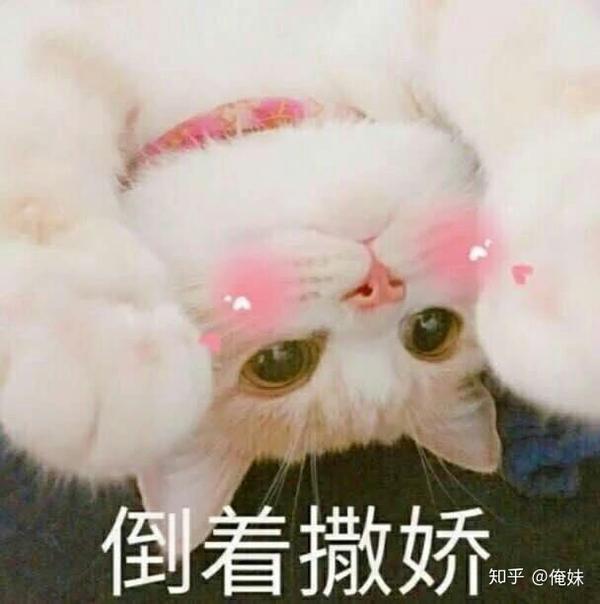 有什么适用于和老公/男票撒娇的可爱表情包?