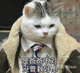 吵架怼人表情包 猫咪版 合集大全 共192张