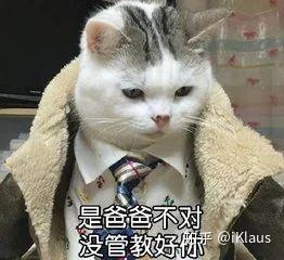 吵架怼人表情包 猫咪版 合集大全 共192张