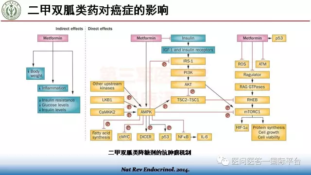 课件分享曾春雨吴庚泽肿瘤和心脏病不同的疾病共同的土壤