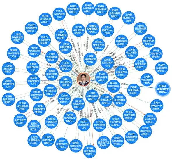 天眼查显示的王振华关联公司图谱