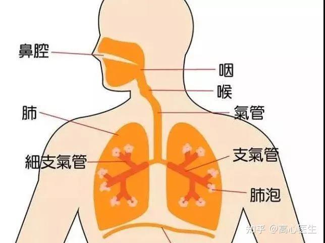 喉咙发痒反复咳嗽是肺炎还是支气管炎