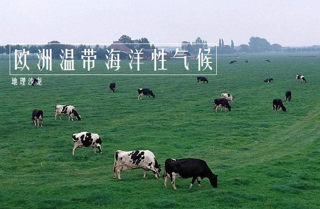 具体来说包括热带雨林气候,热带草原气候,热带沙漠气候,热带季风气候