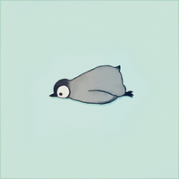 稚茗肥肥的猫