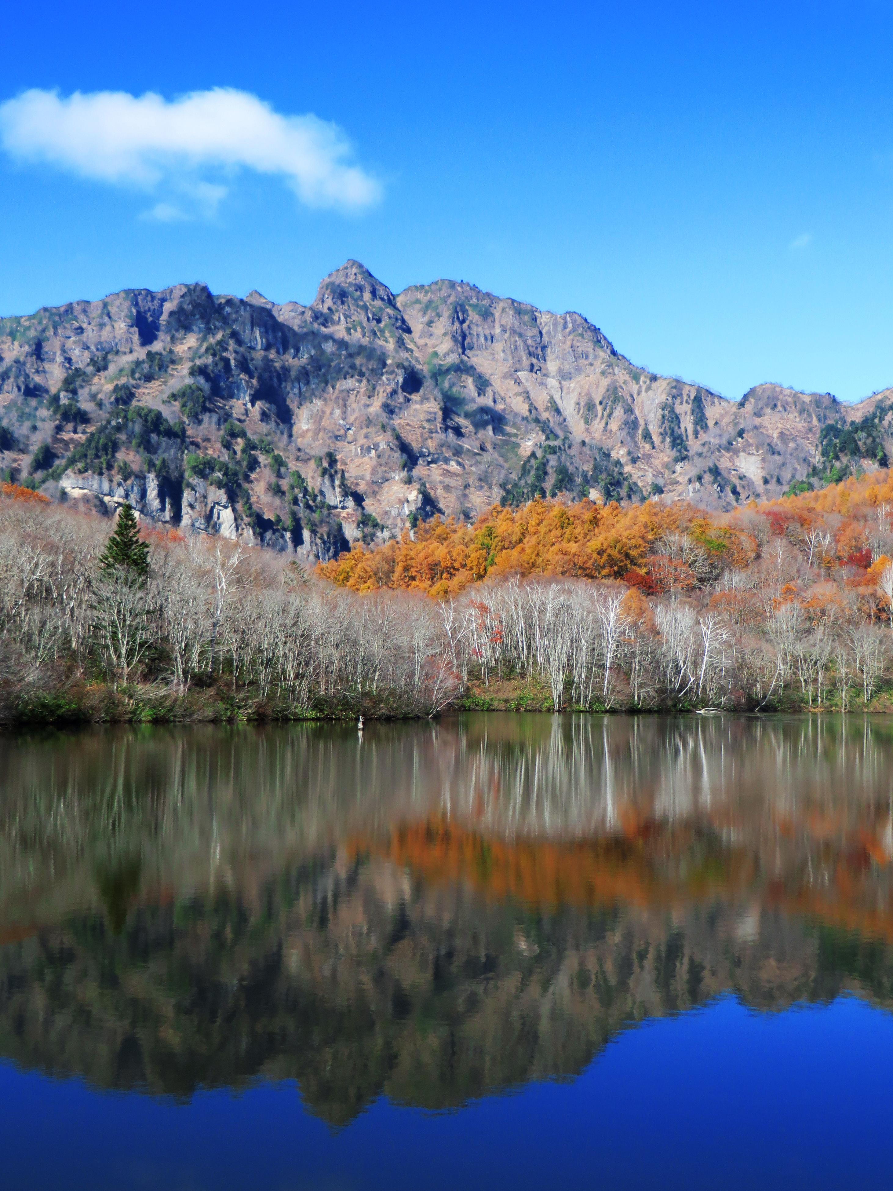 不容错过的湖人队关键时刻表现与战术解析