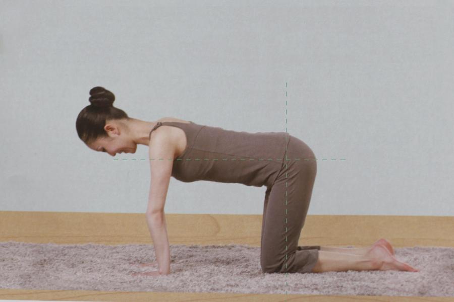 正位瑜伽——猫式变形式(动作要领讲解)