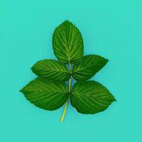 tiffany会计师在读