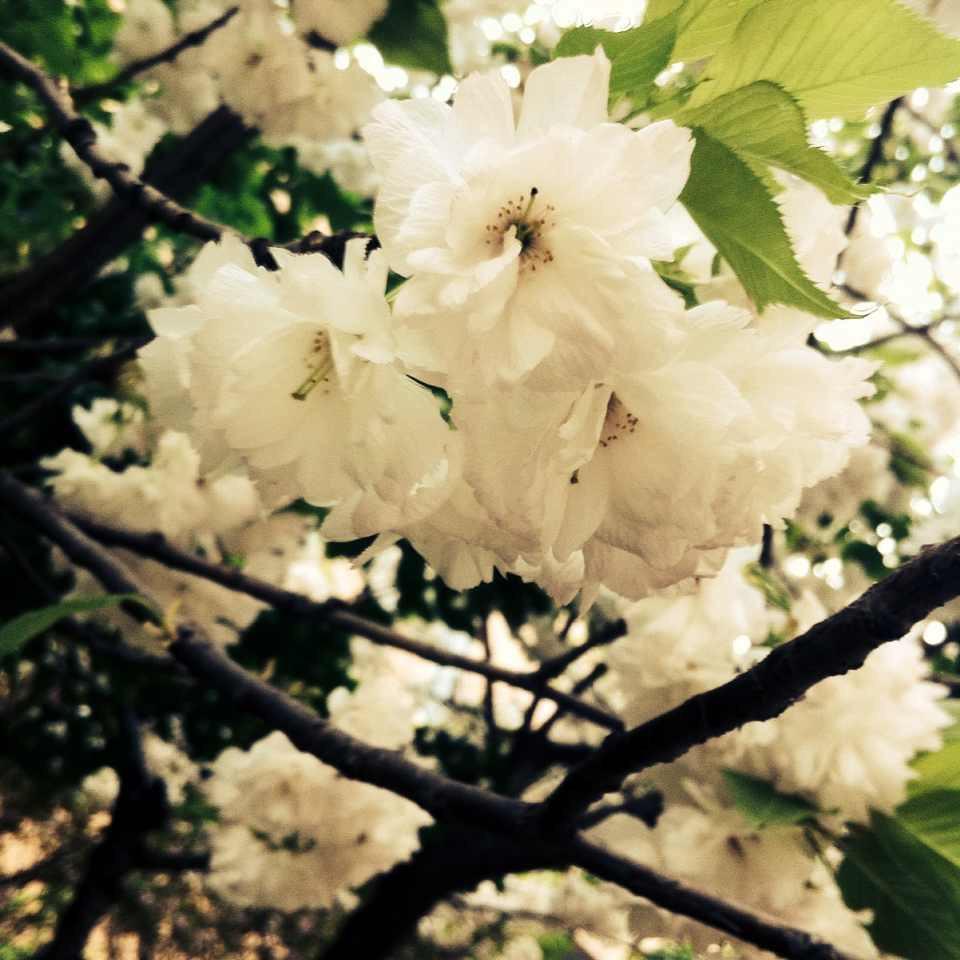 在陕西省西安中学就读是怎样的一种体验? - 西