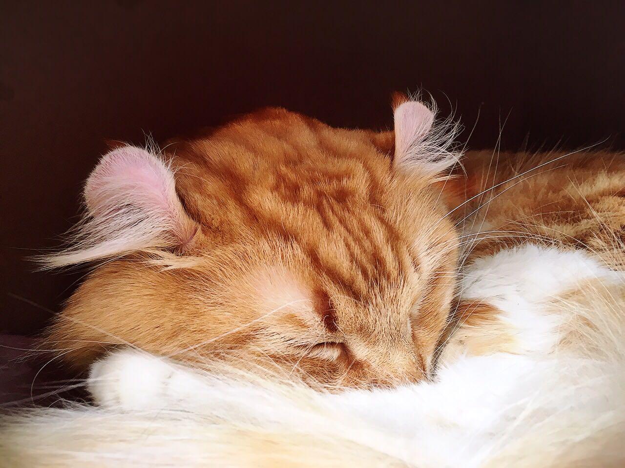 北京冬天有什么适合和闺蜜一起玩的室内景点啊