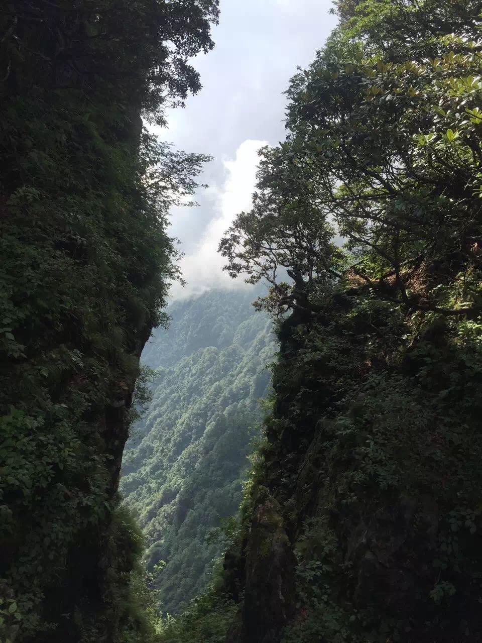 想爬峨眉山,女生一个,之前一个人爬过华山黄山
