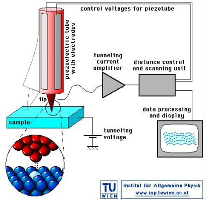 xmqv 答过的问题
