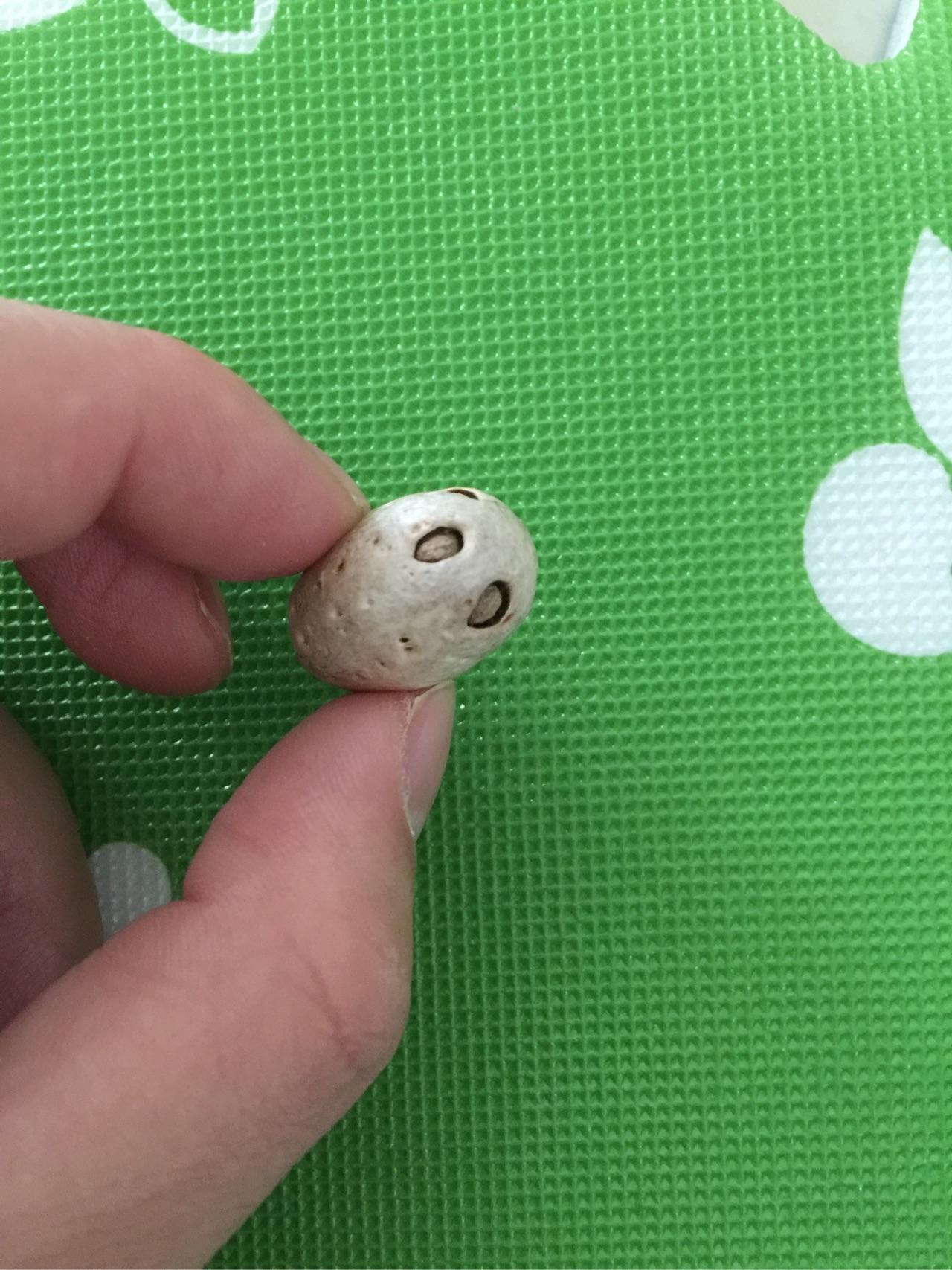 请问这是什么东西,可以泡水喝吗? - 药用植物