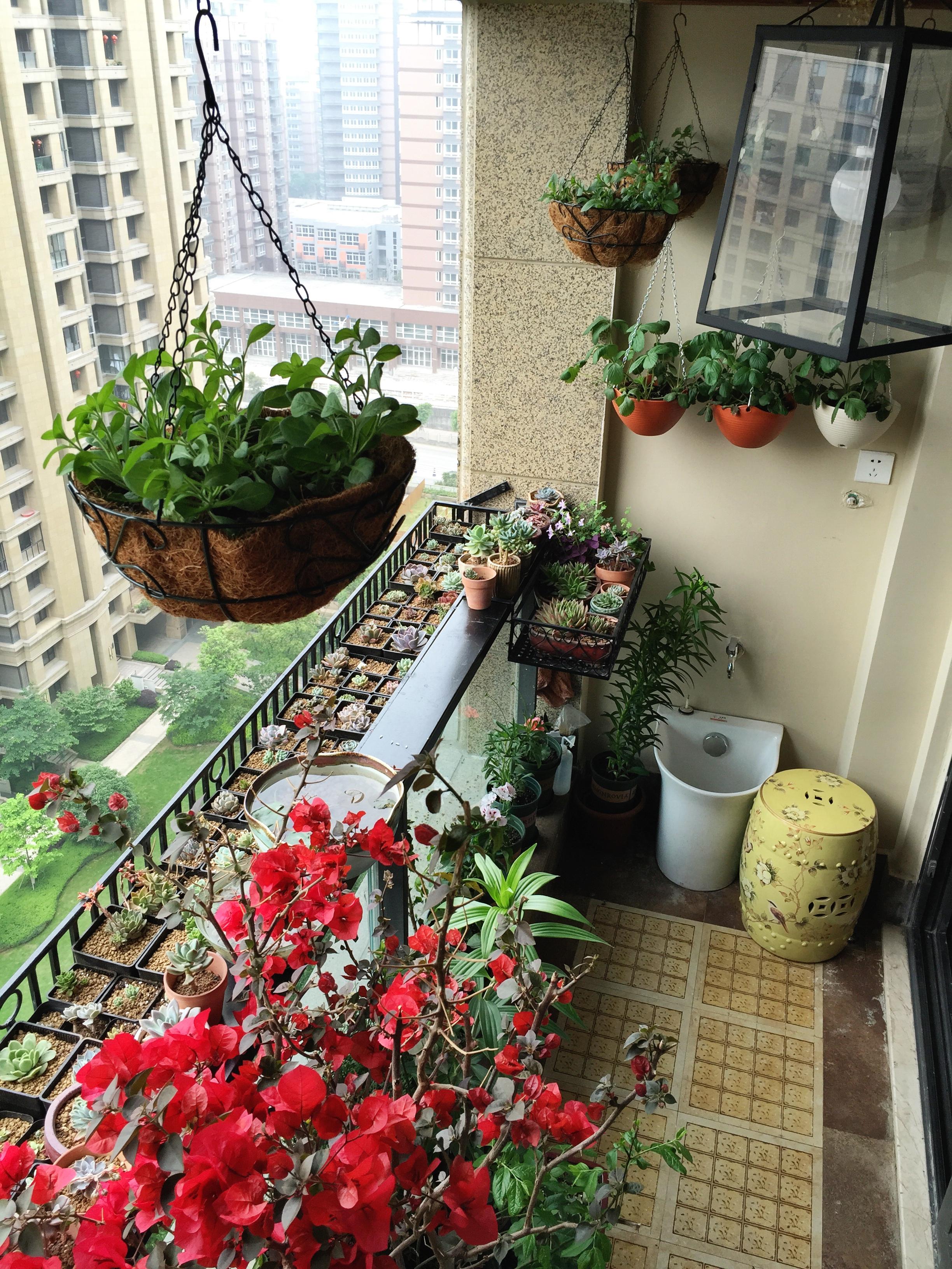 如何把小户型阳台布置出有情调又不贵?