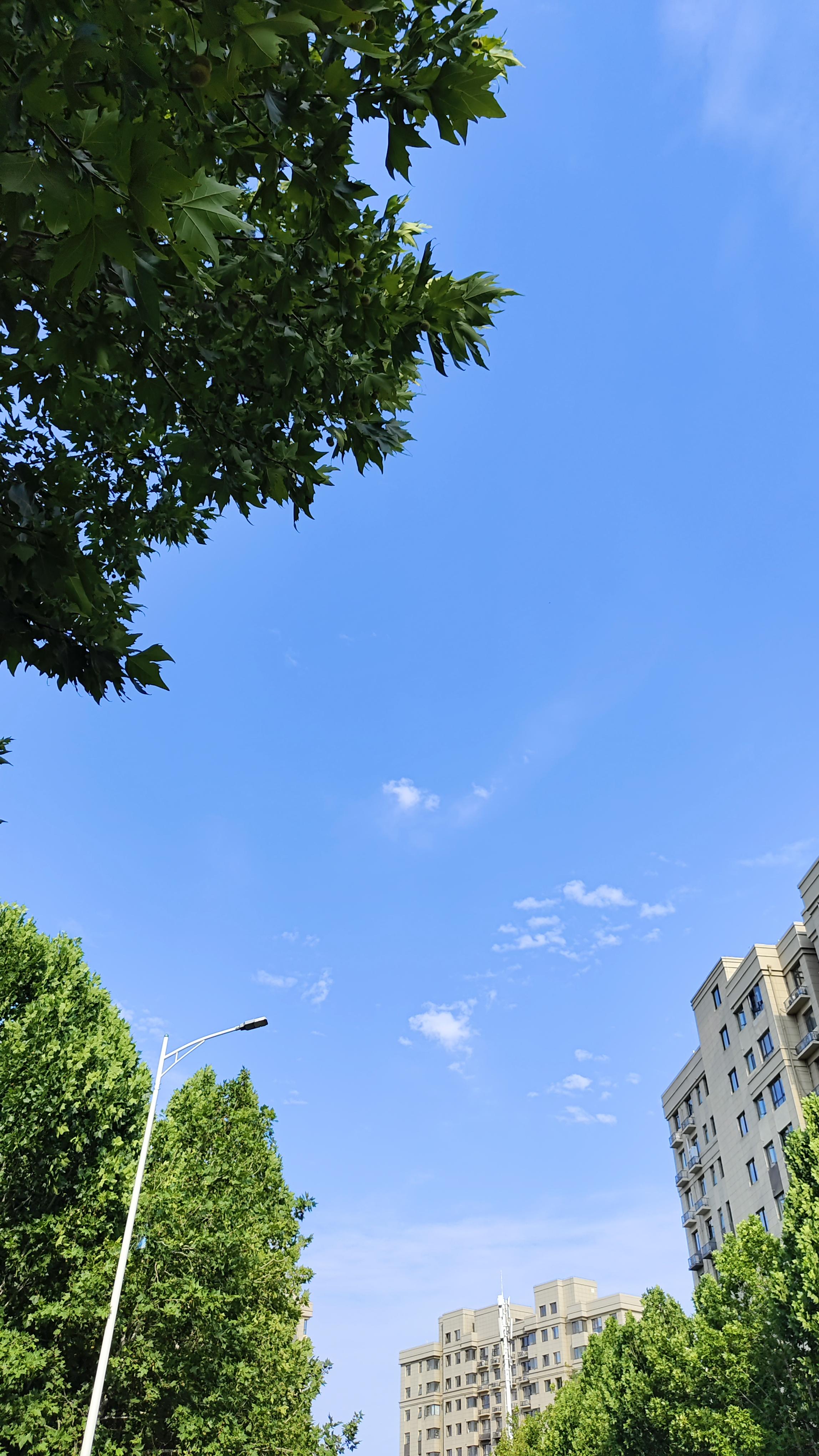 50郑州的天空,好蓝好蓝,不算热,但是要不是接学生,也不愿意出门,有没