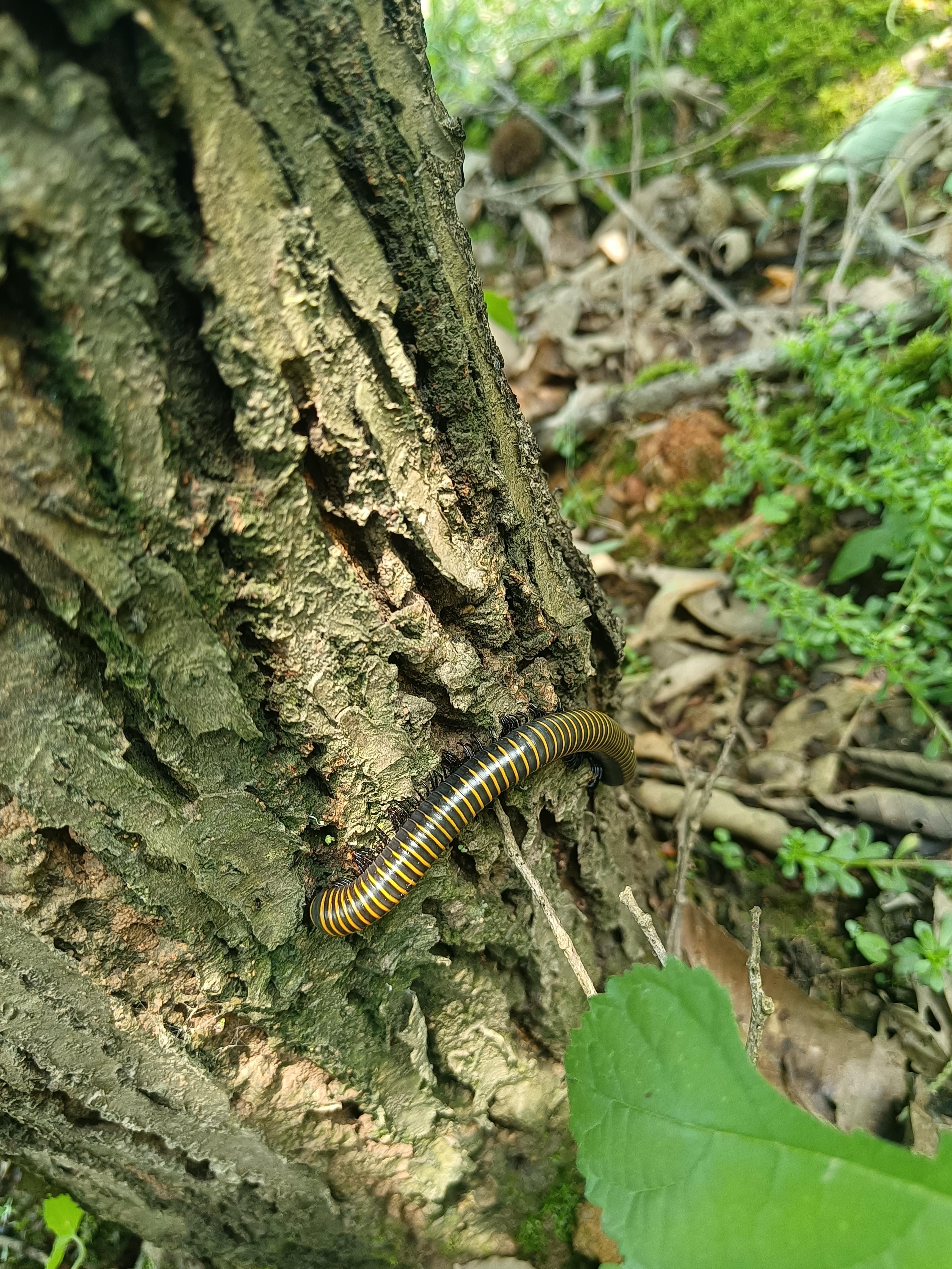 侠骨柔情 的想法: 这是什么鬼东西