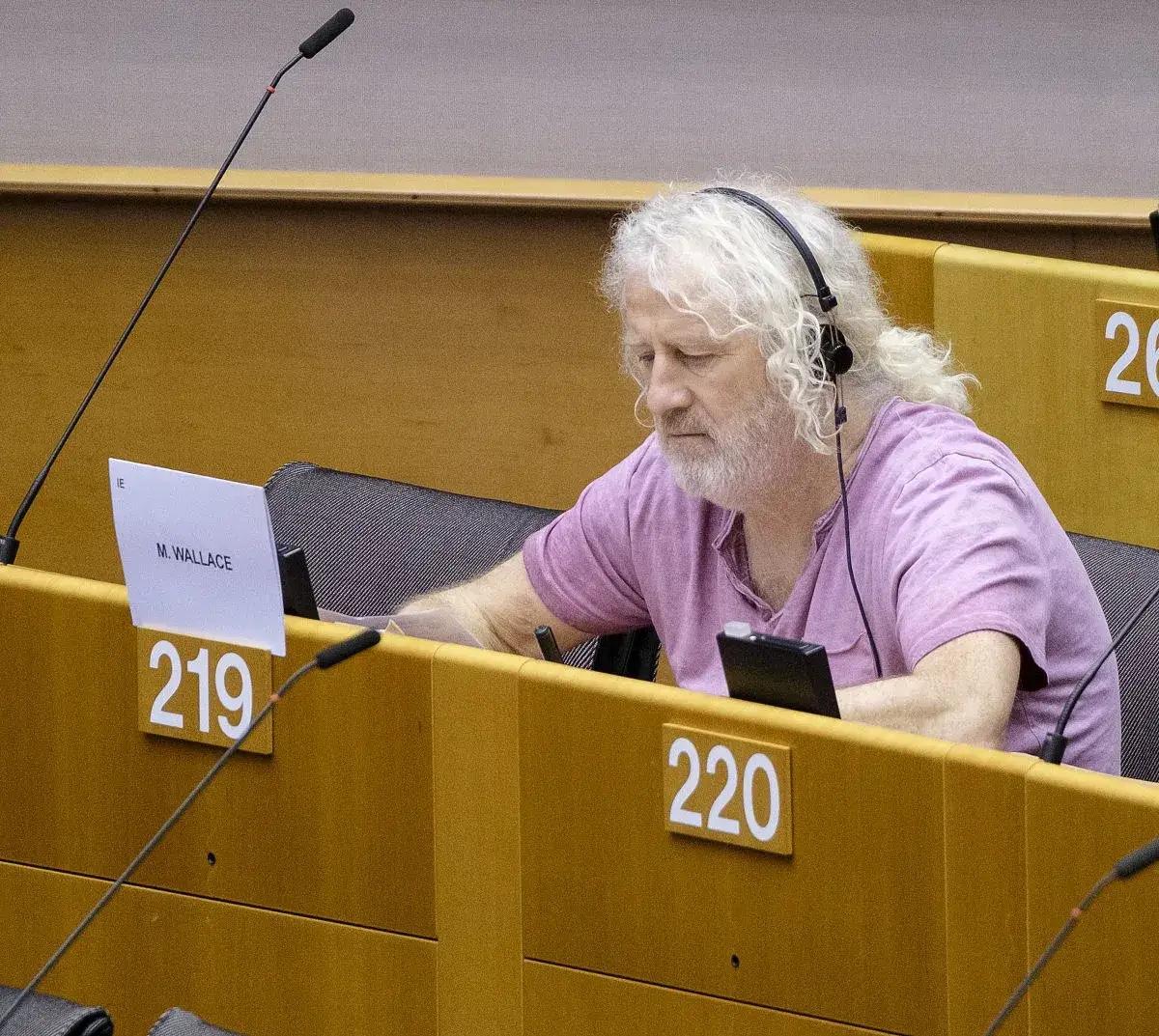 欧洲议会议员华莱士今天25日发文说别再说关于以色列正在做什么的谎言