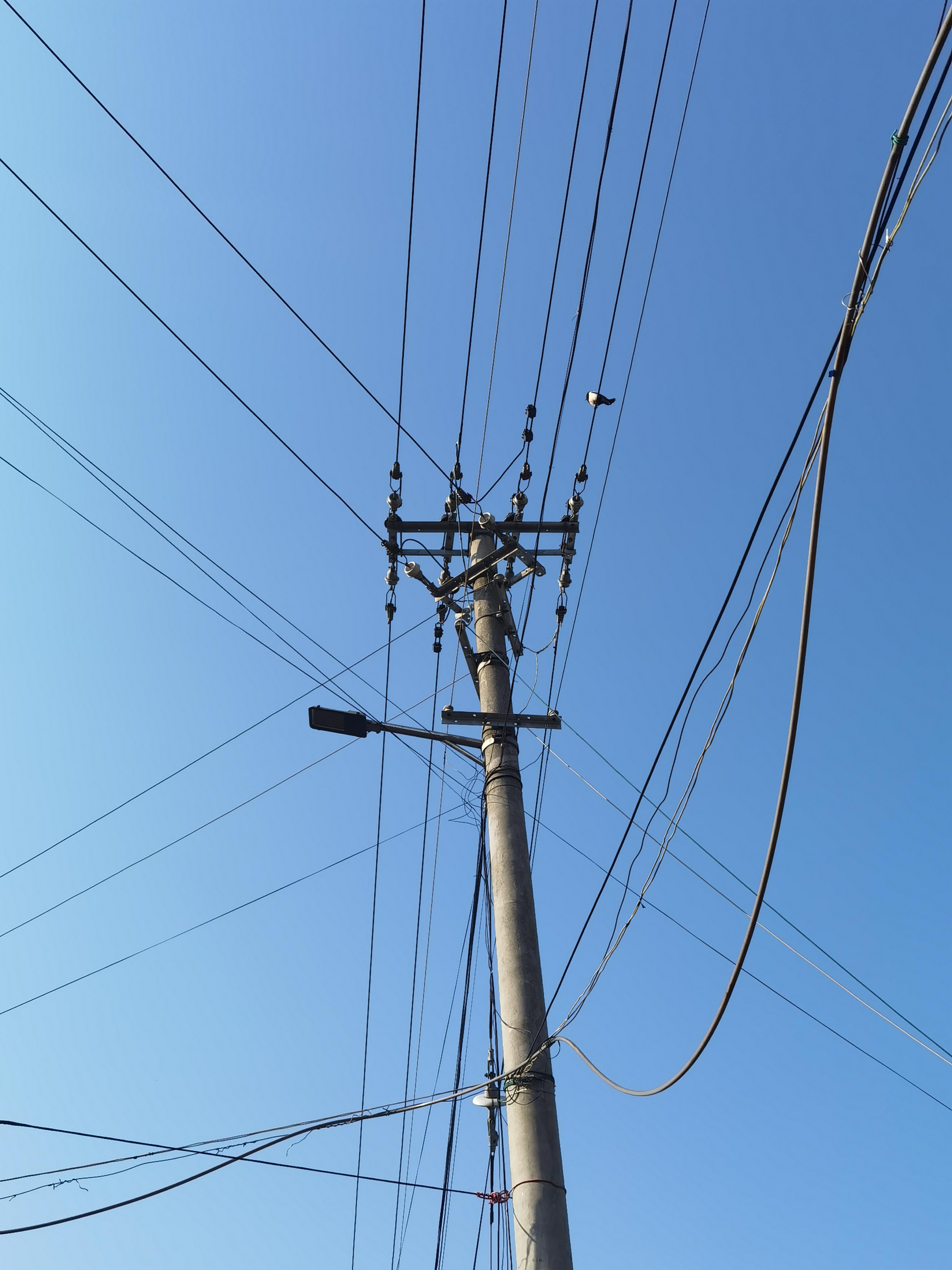 刘闹闹 的想法: 电线杆