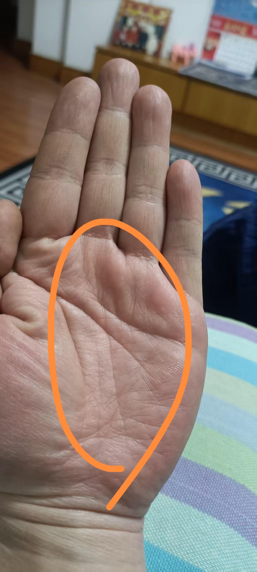 看手老陈 的想法: 双重事业线的手,做事认真,人缘好