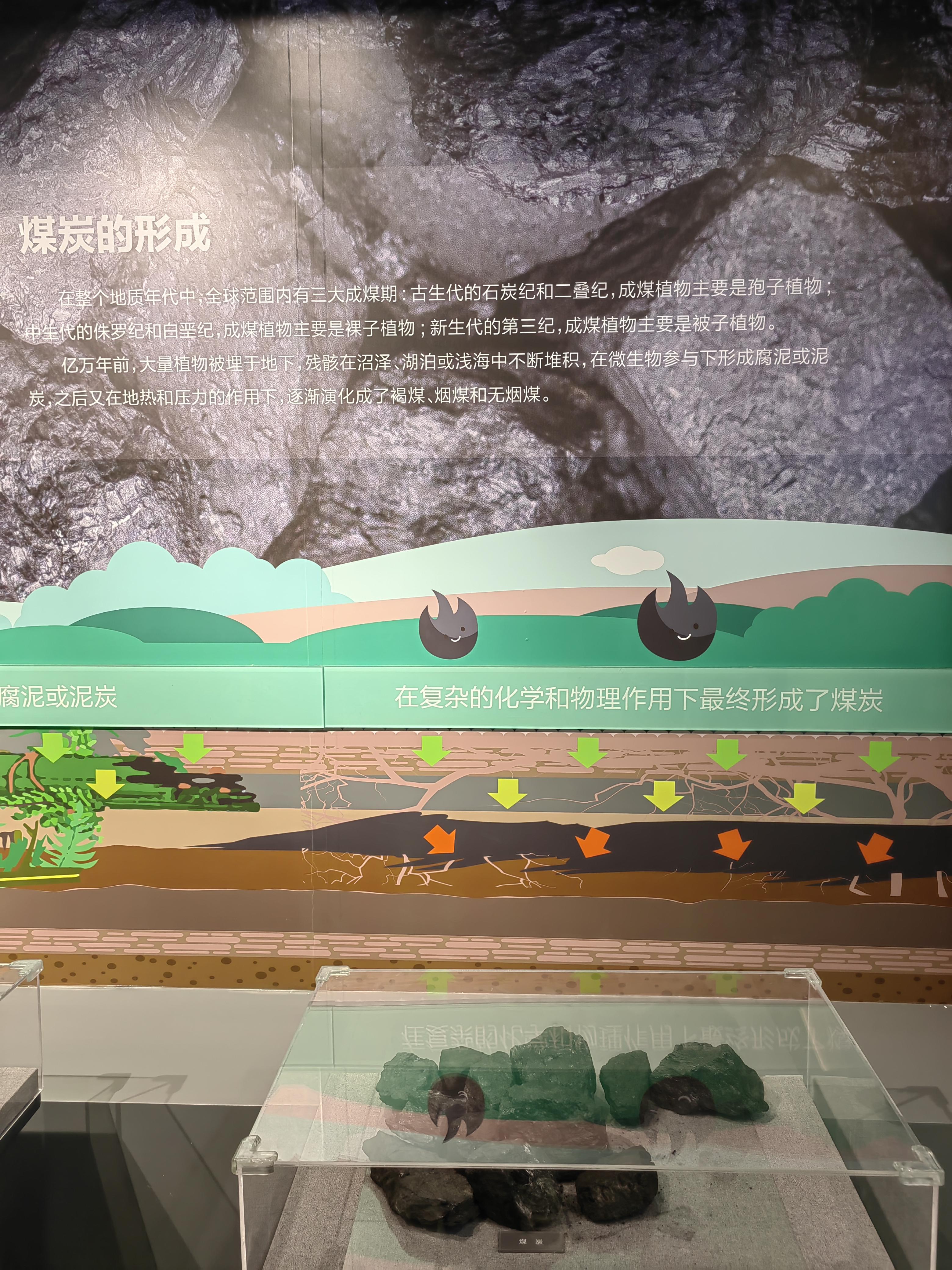 大知闲闲 的想法 家有小学生假期就要玩和科普一起来国家植物园里