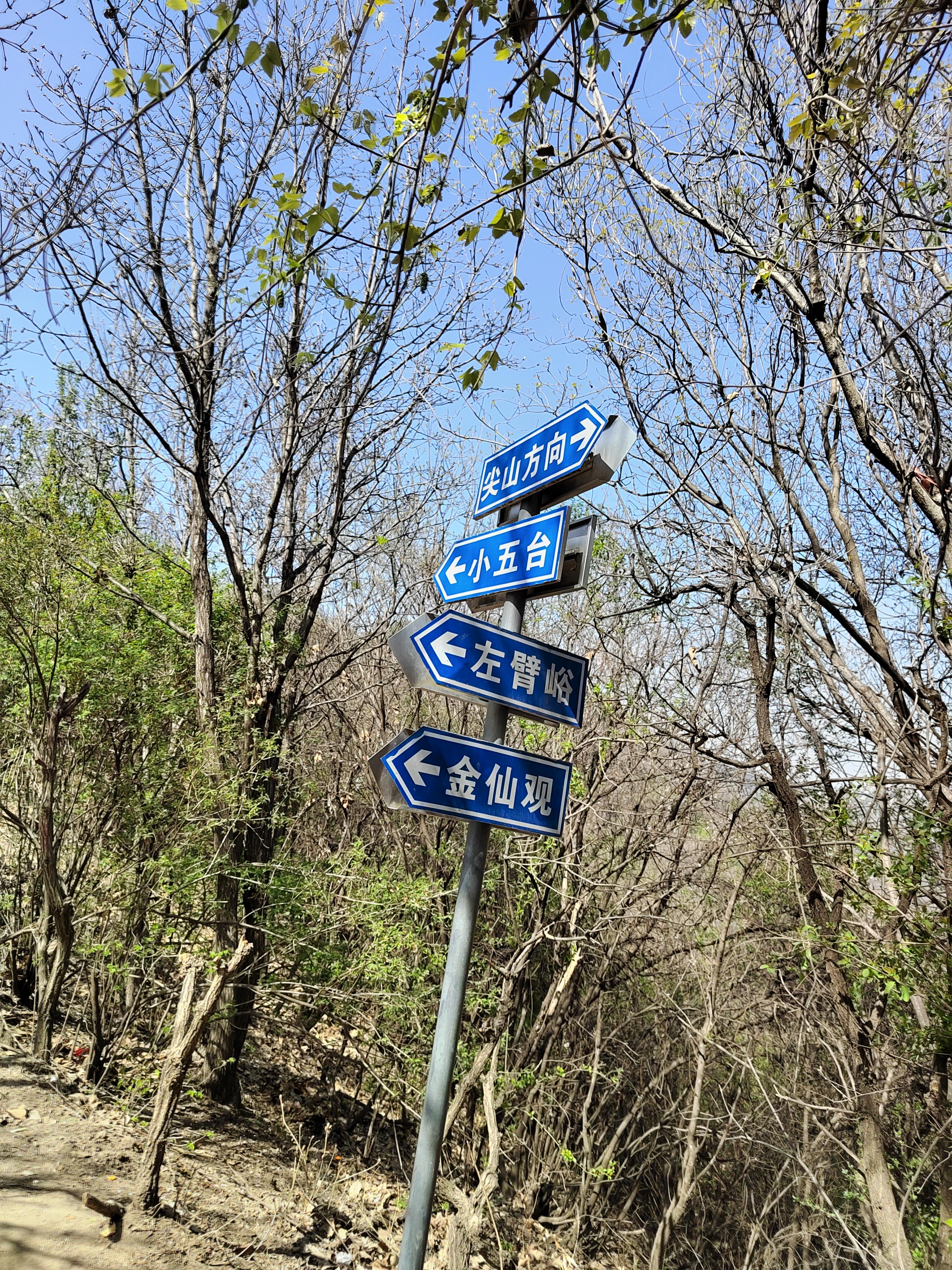 秦岭涵烟 的想法: 秦岭五道梁爬山记