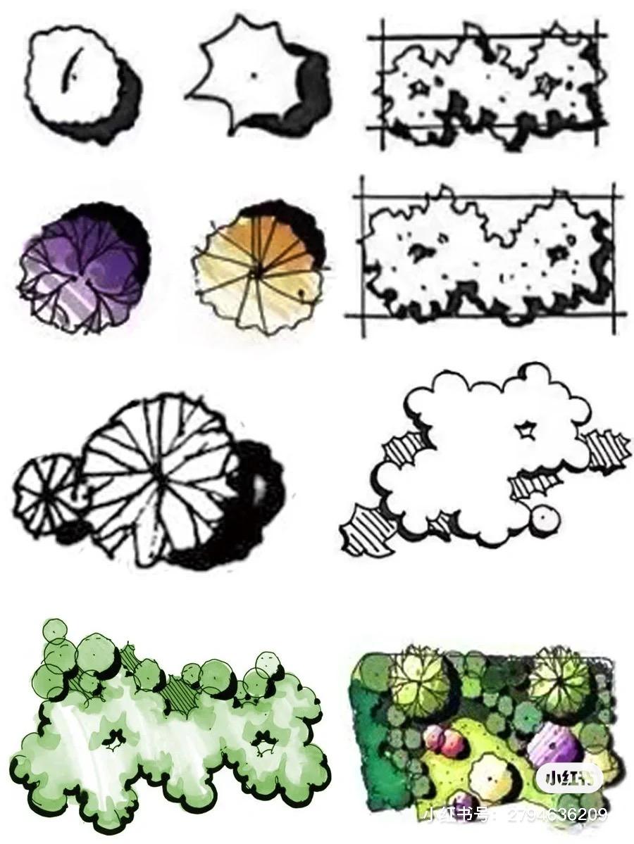 植物组团手绘 平面图图片