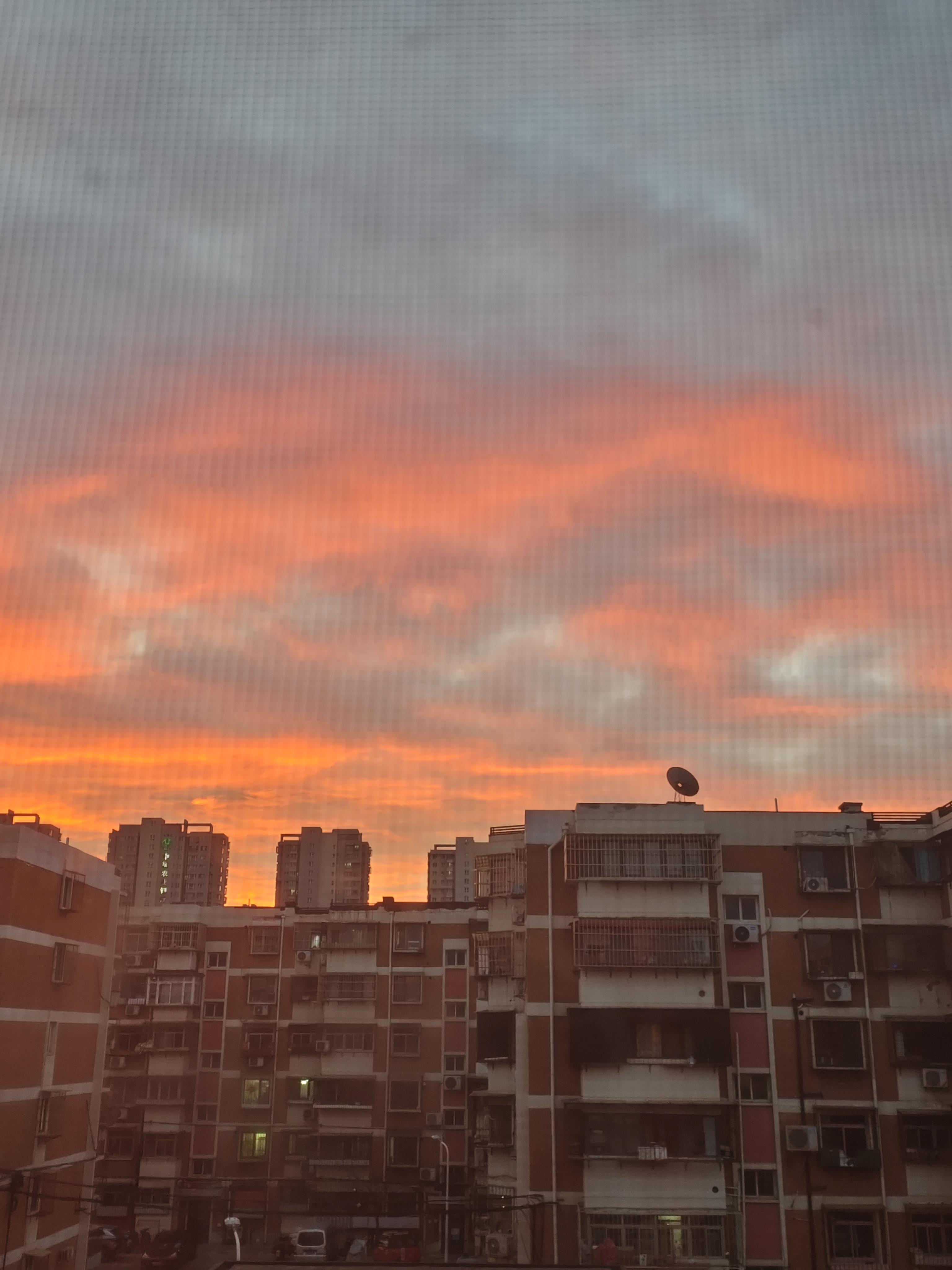 瞳瞳妈宏毓 的想法: 天津的月亮