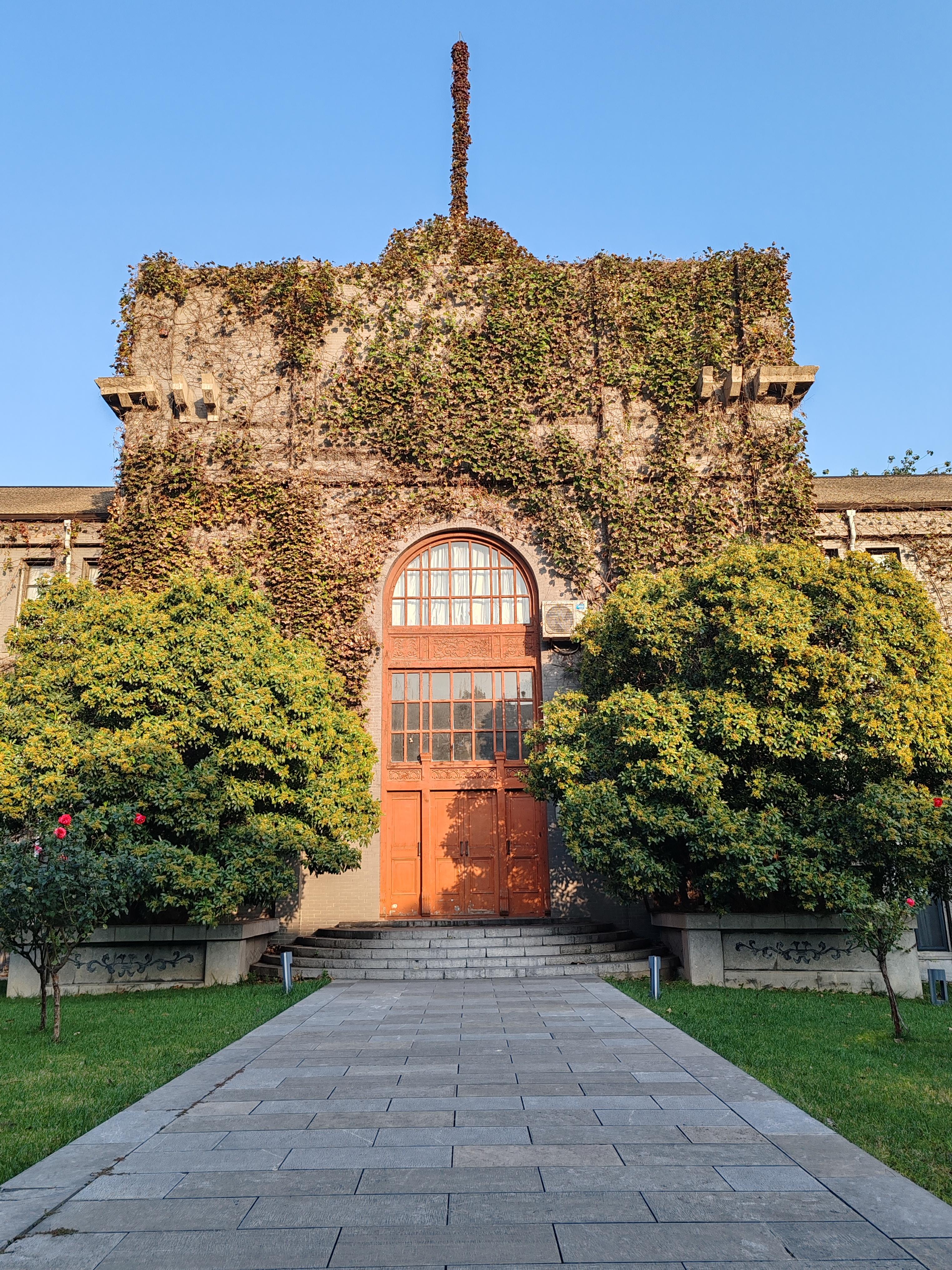 大学 历经高中三年的拼搏,终于来到了梦寐以求的大学校园