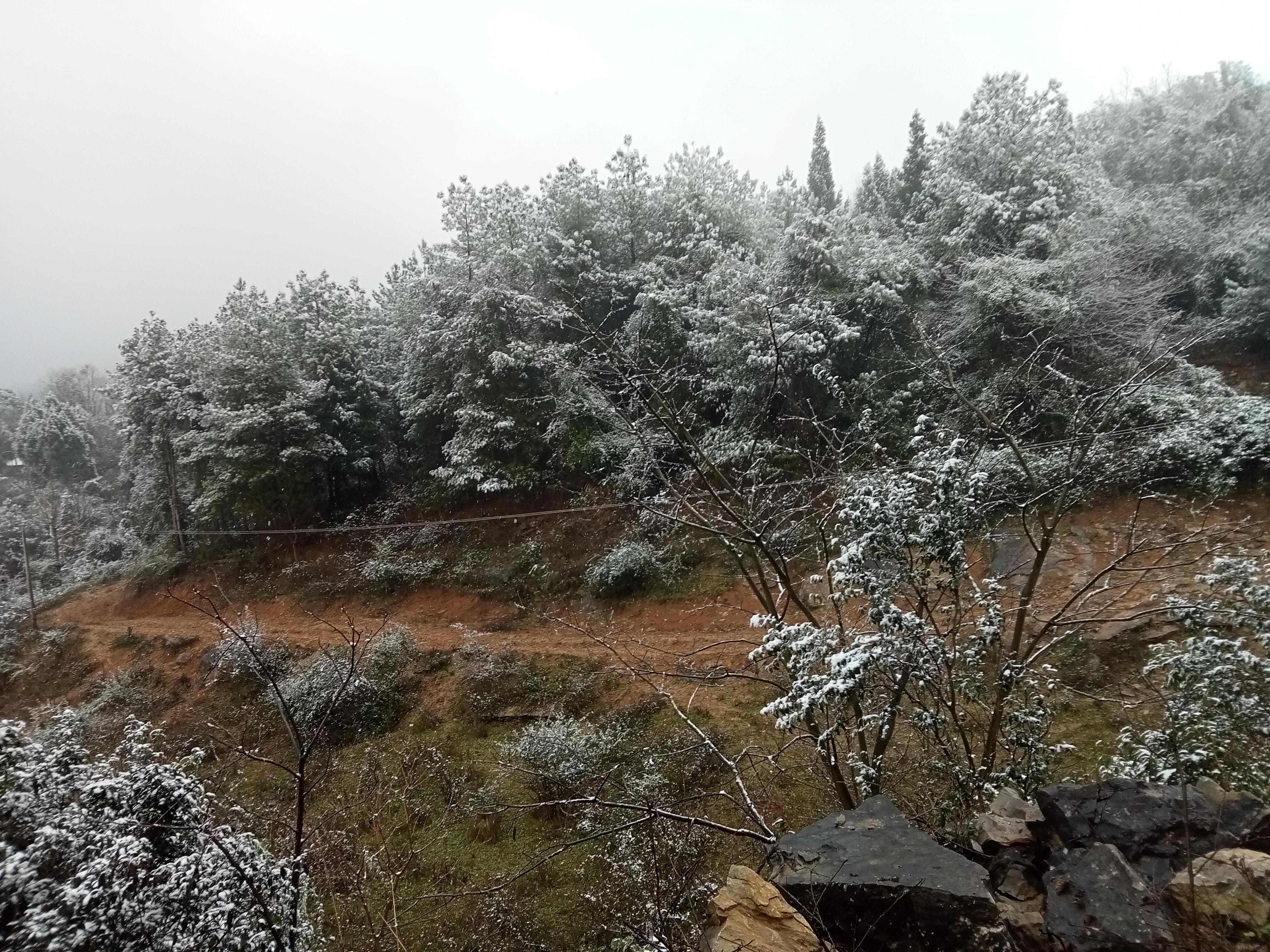 城羽 的想法: 出發去看雪 | 很喜歡山上的雪可惜沒去 