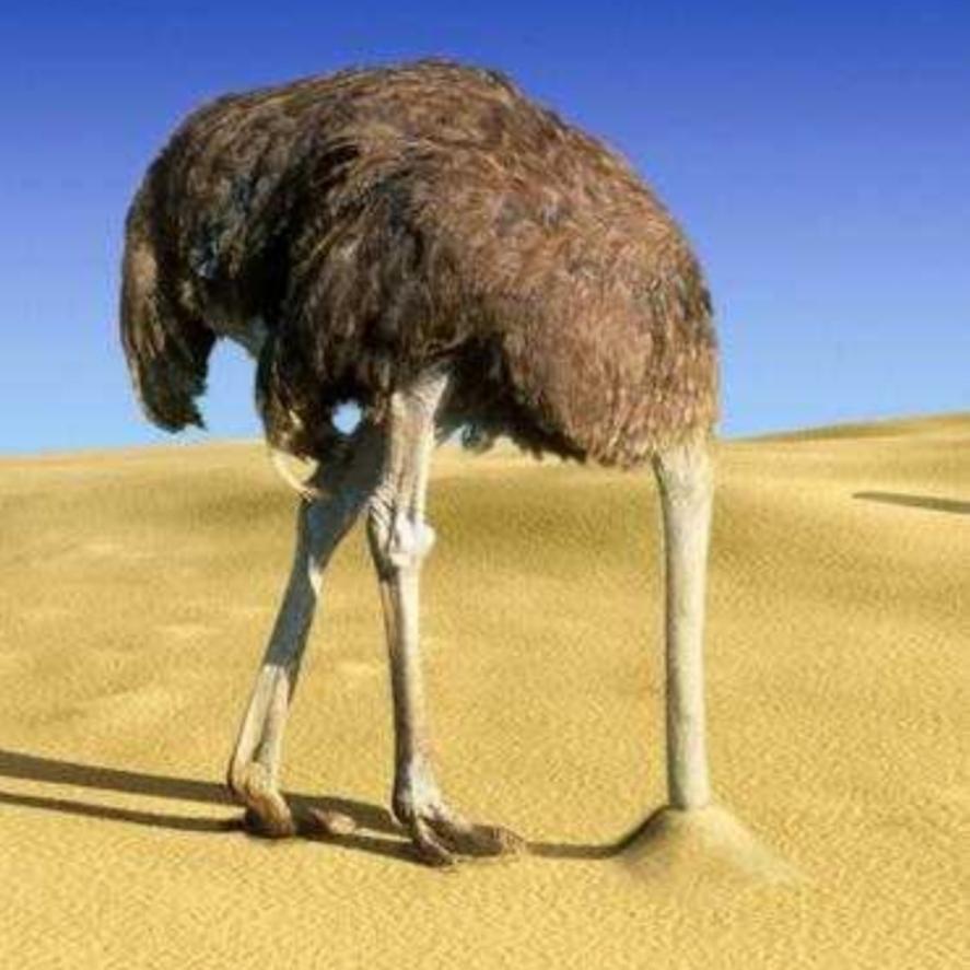 我们何尝不是在做鸵鸟