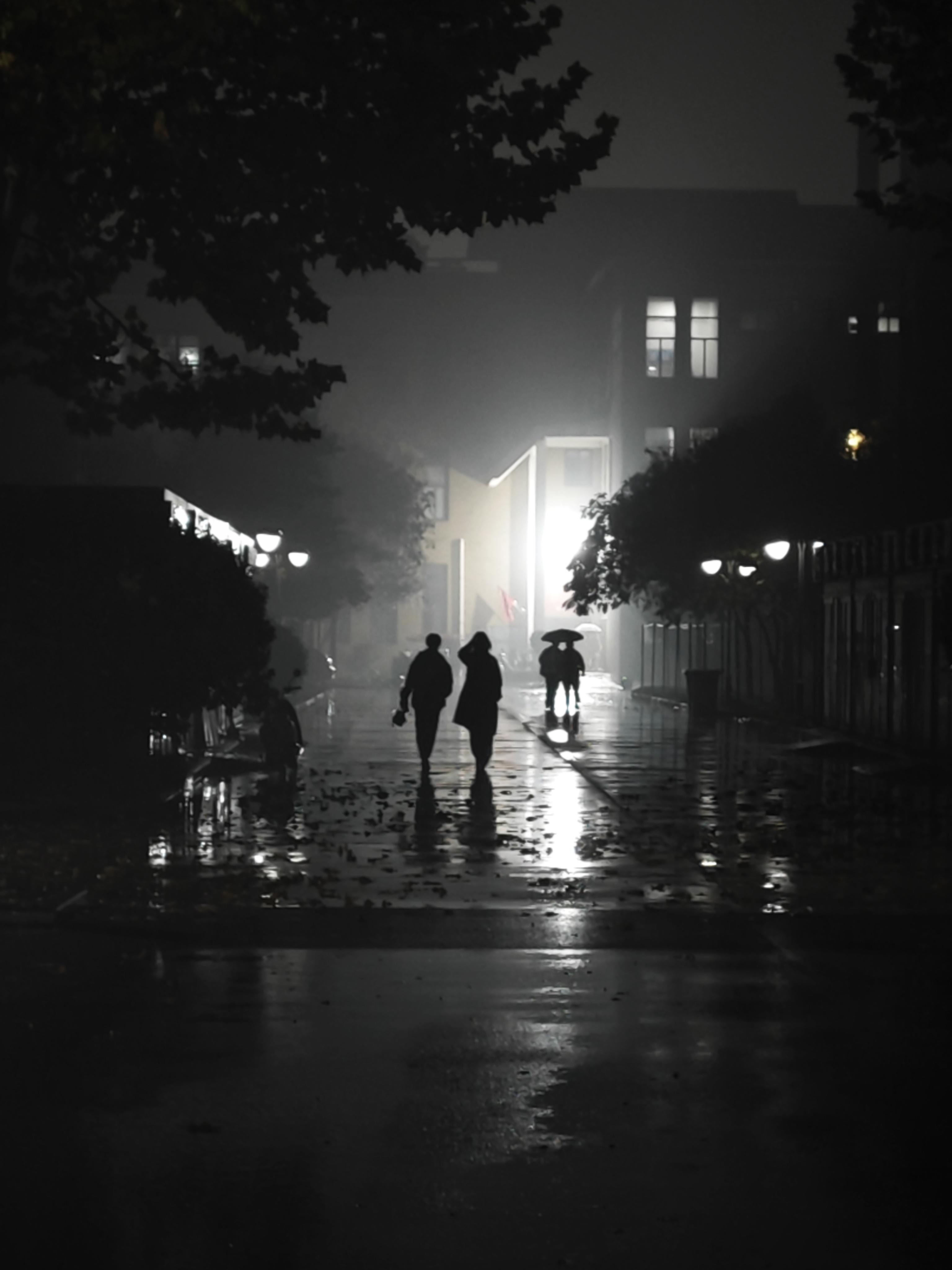 树上的程序员 的想法: 黑夜 下雨
