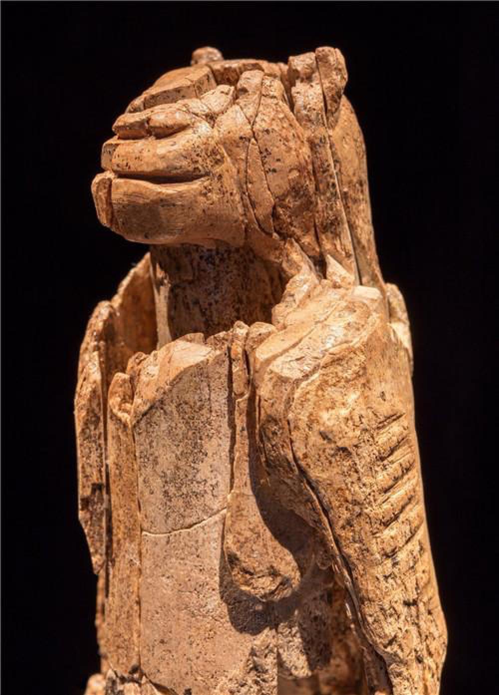 万年前的史前人类用猛犸象牙雕刻而成的,是全世界已知的最古老雕塑品