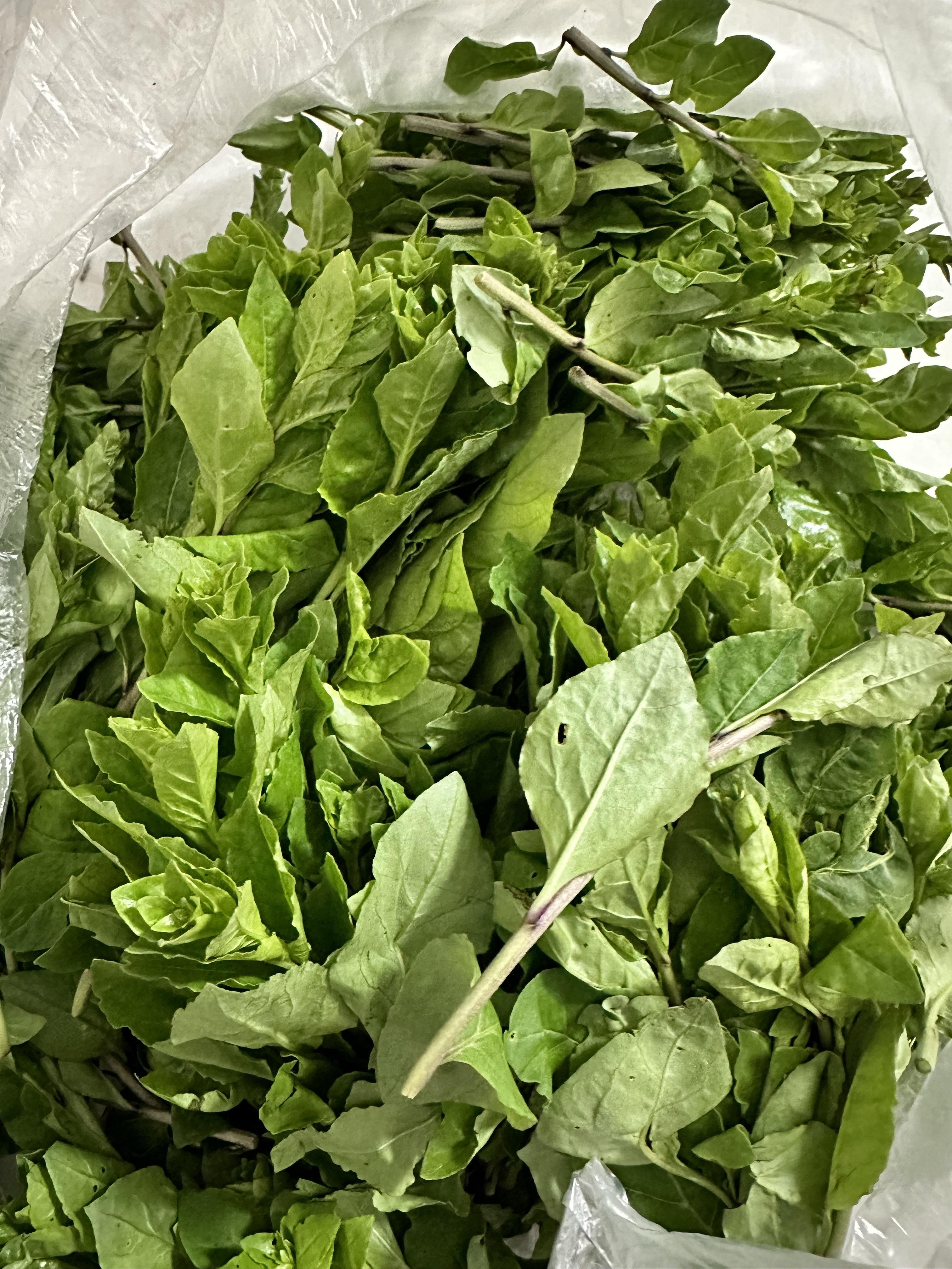那年经日 的想法 春日限定野菜