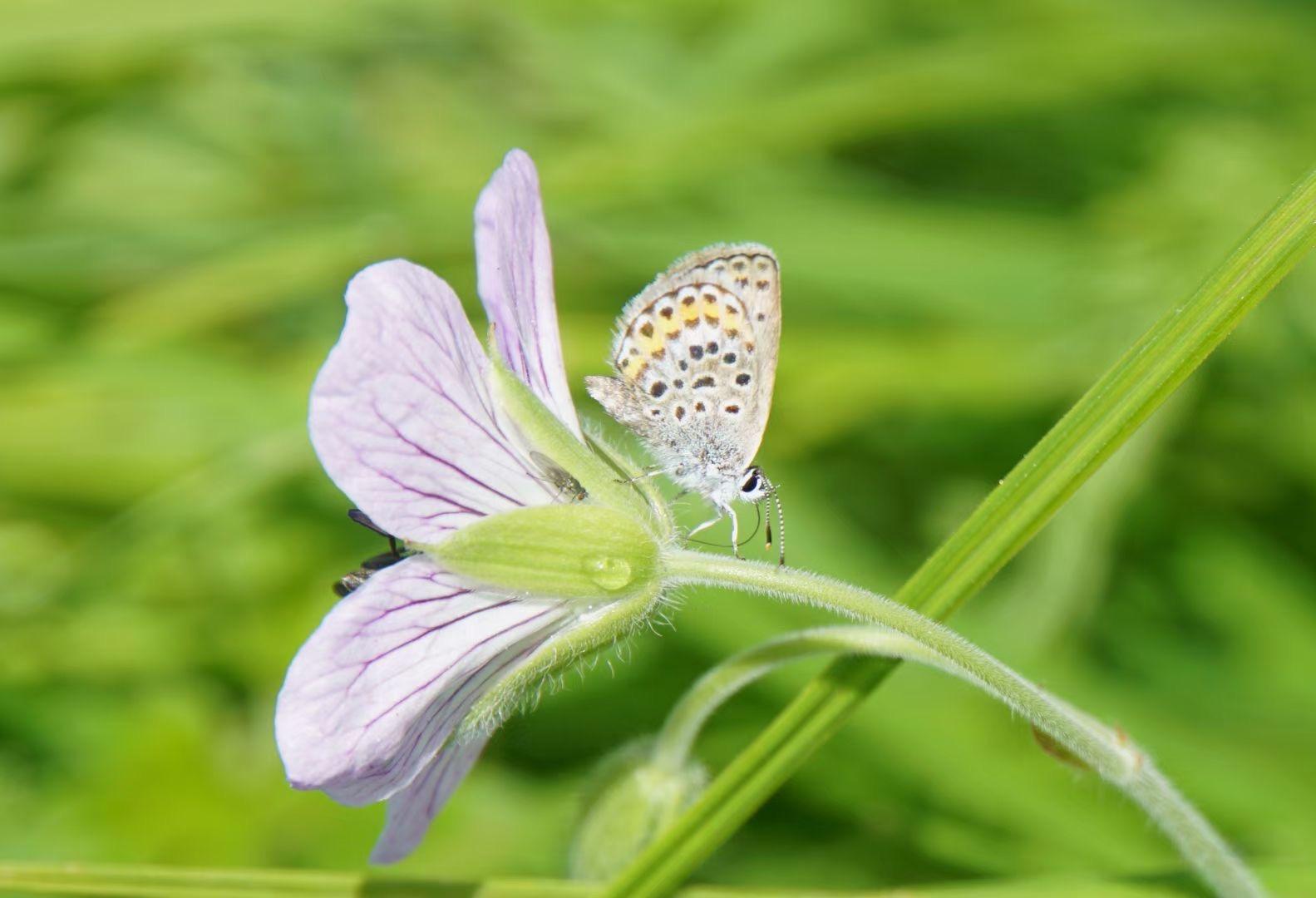 长安文学社 的想法: 如何接别人话 | 分享3个小技巧学会之后没有你接