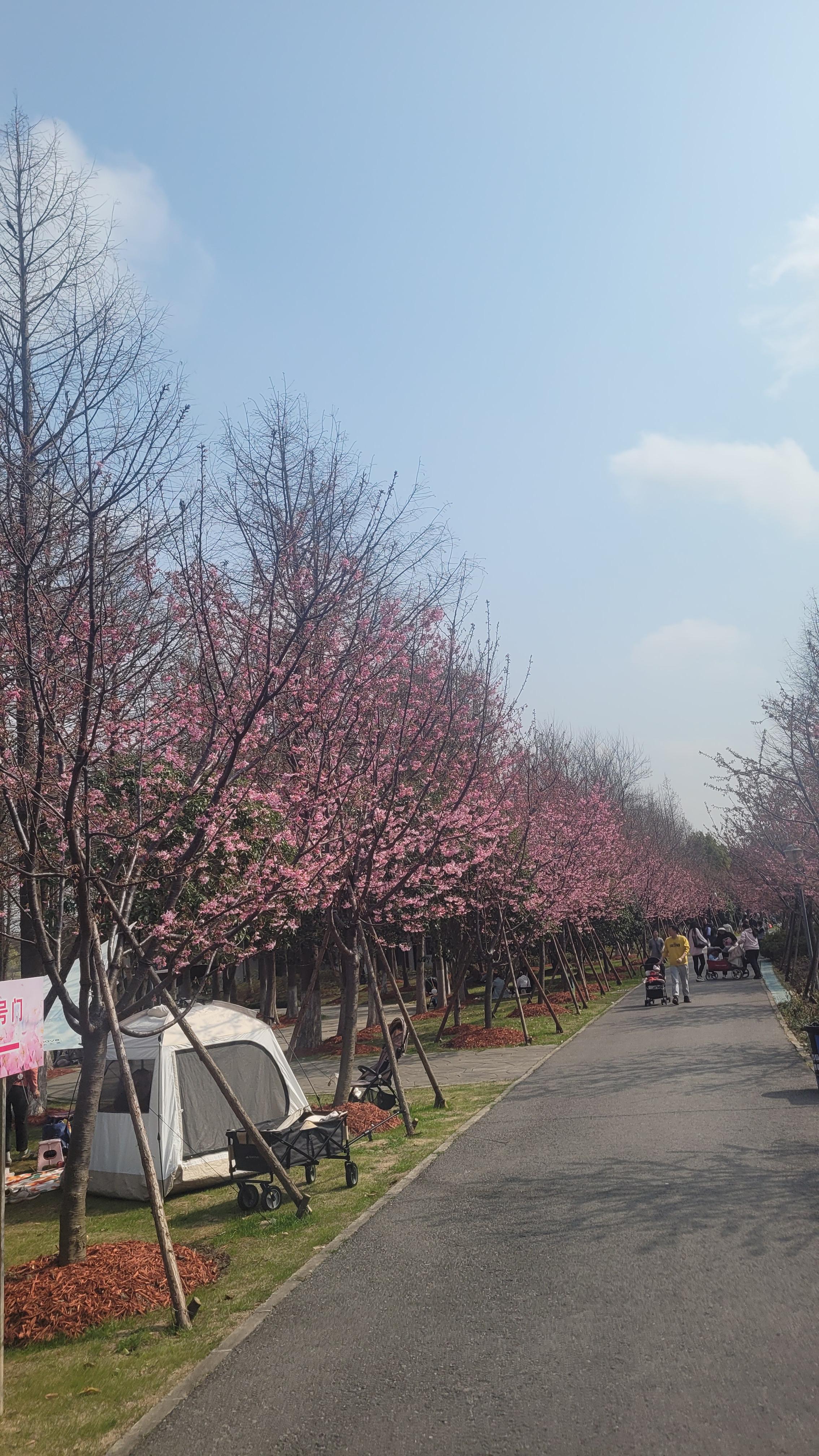 路过蜻蜓20121129 的想法: 花花花 |  a class="hash_tag" href="