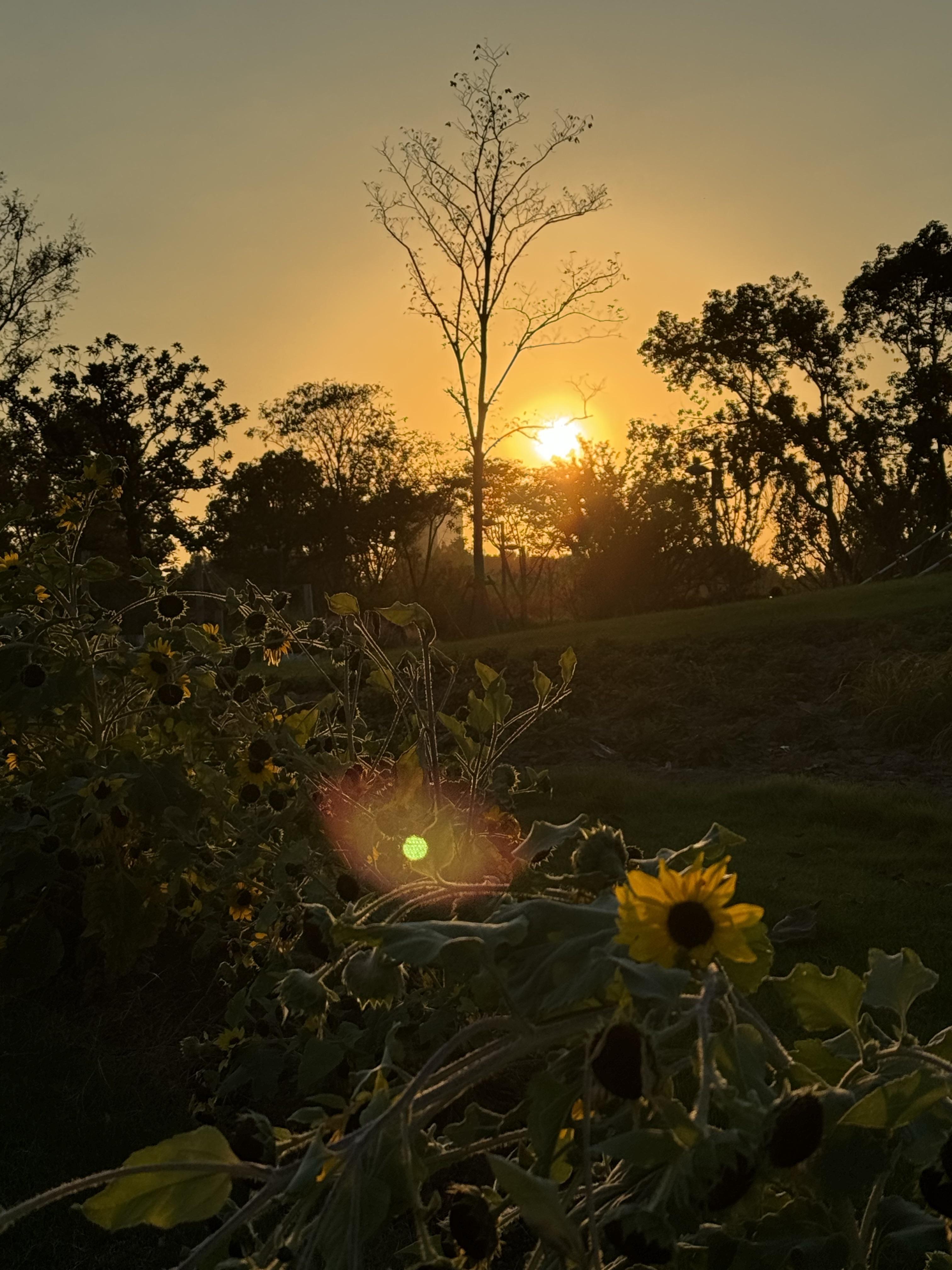 黑红玫瑰 的想法: 仰望天空:寻找内心的宁静