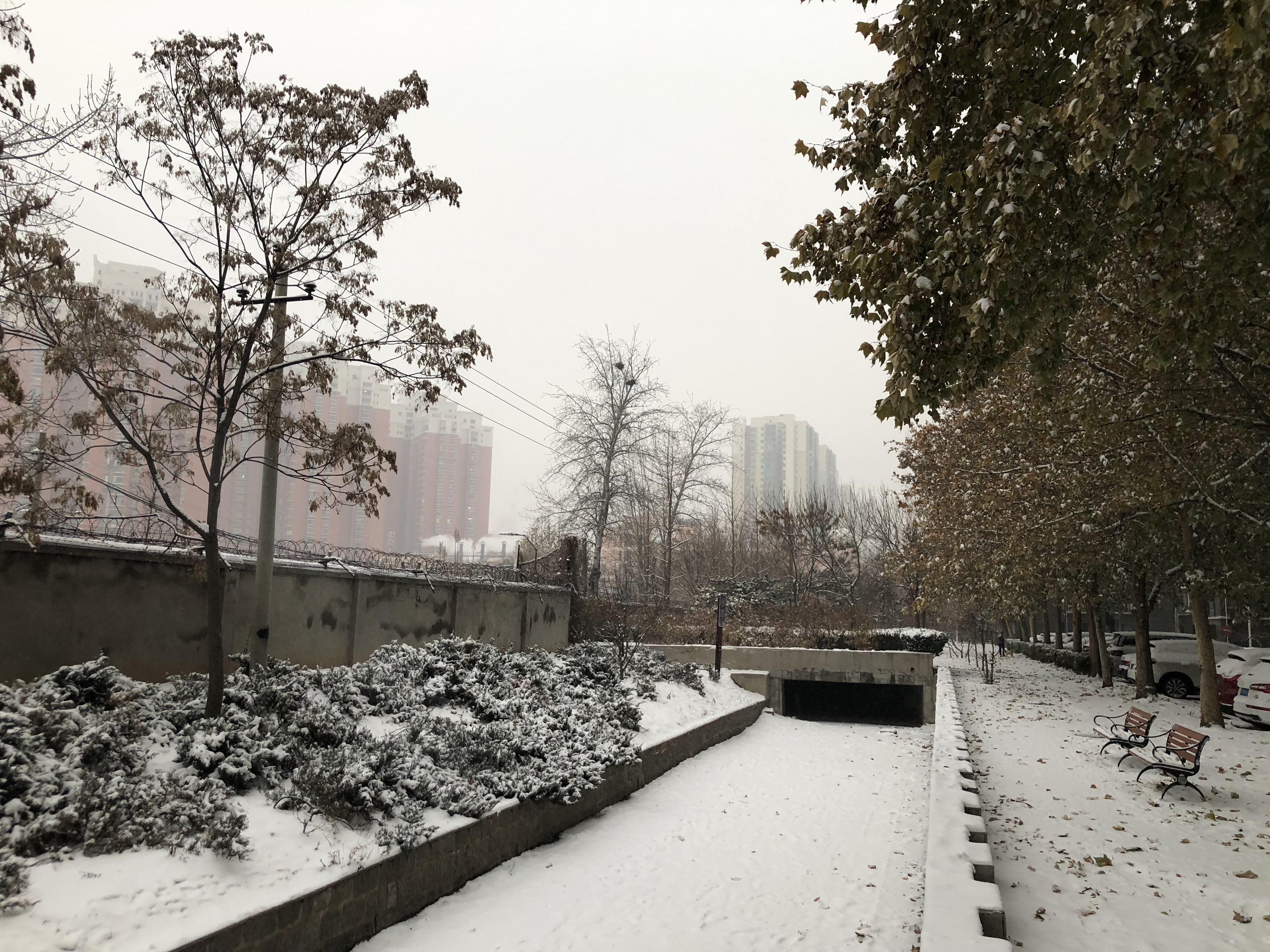 北京的暴风雪下了一夜的雪北京铺上了一层厚厚的雪昨天中小学就已经