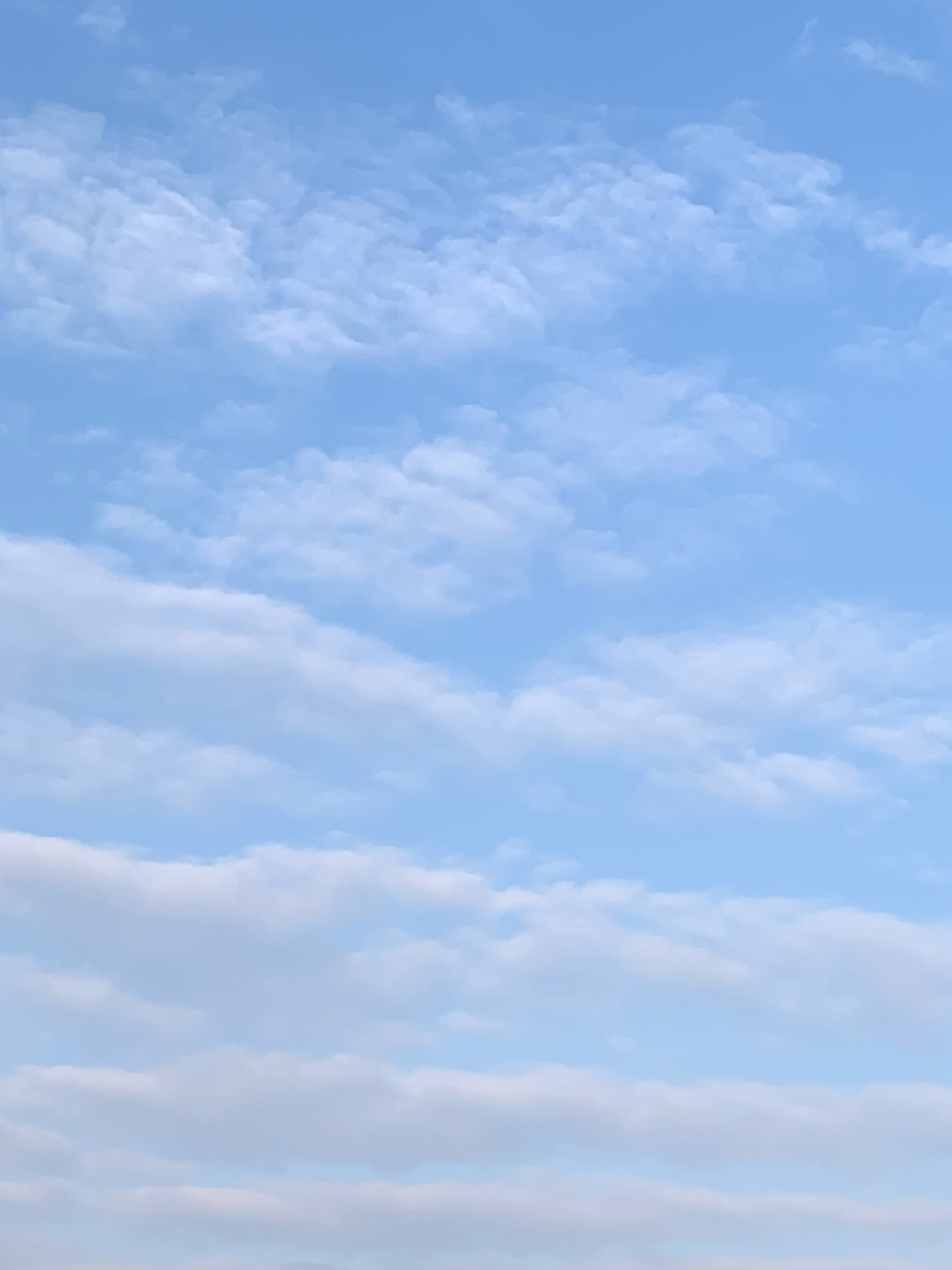 muyangdege 的想法: 天放晴了