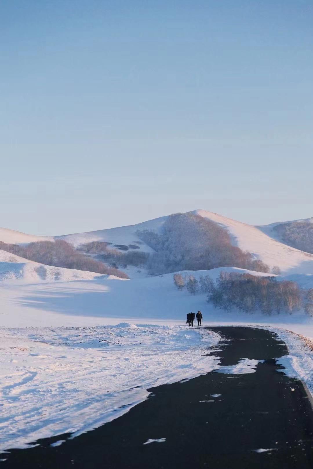 枫度翩翩 的想法: 北方雪景久违,今年是否如愿?
