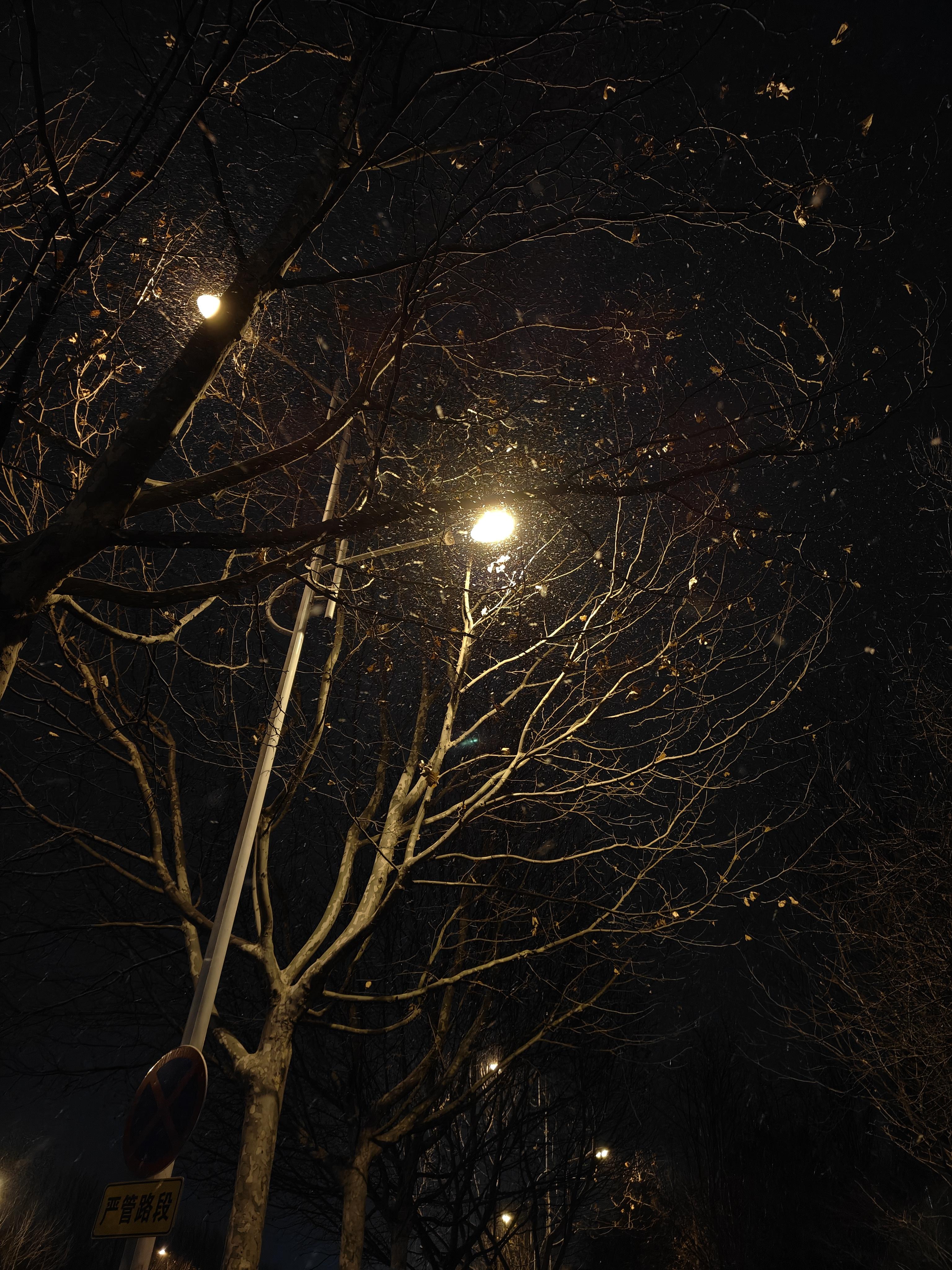 路灯下雪景图片夜晚图片