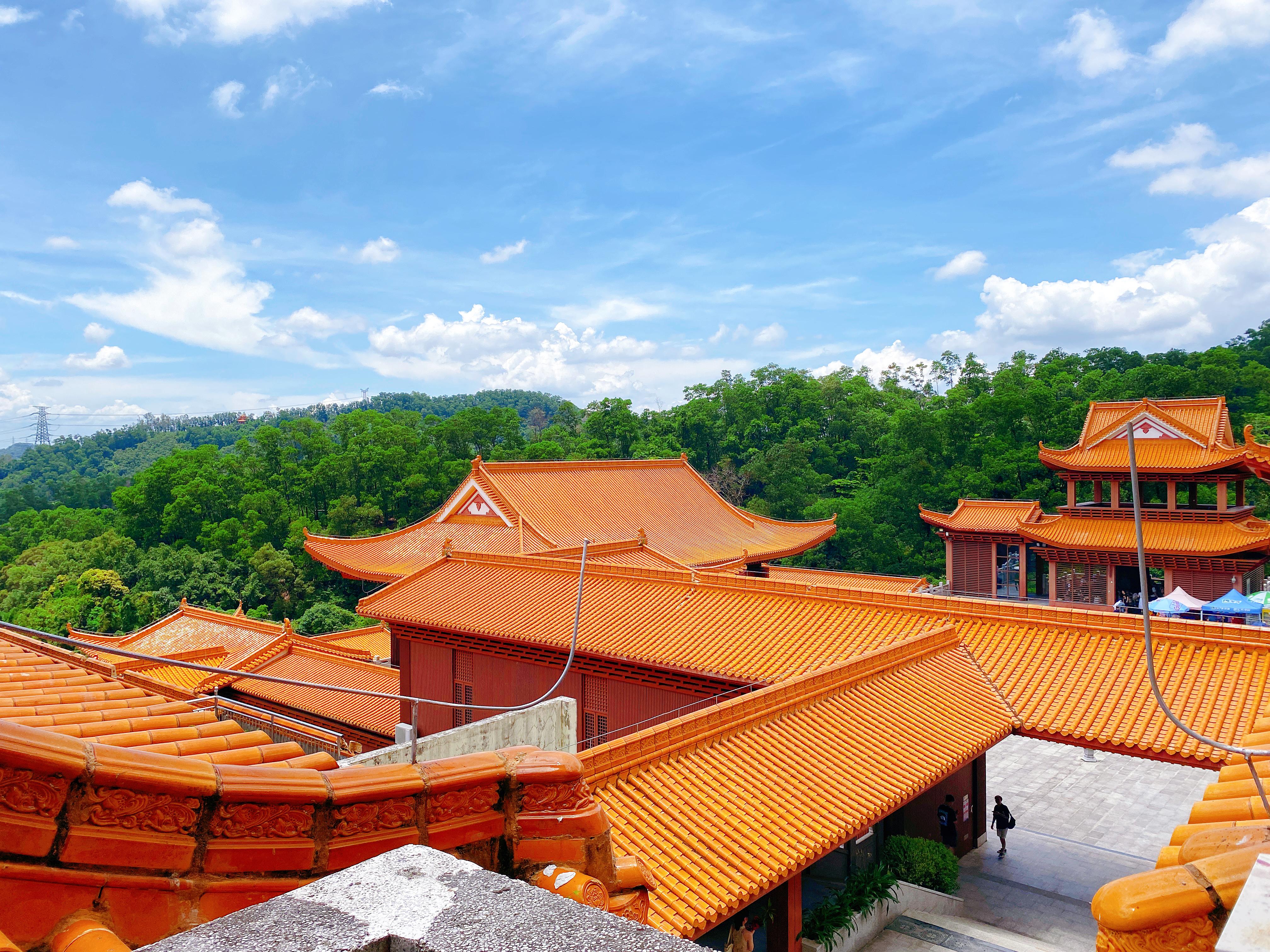 彭州莲池寺释弘法简介图片