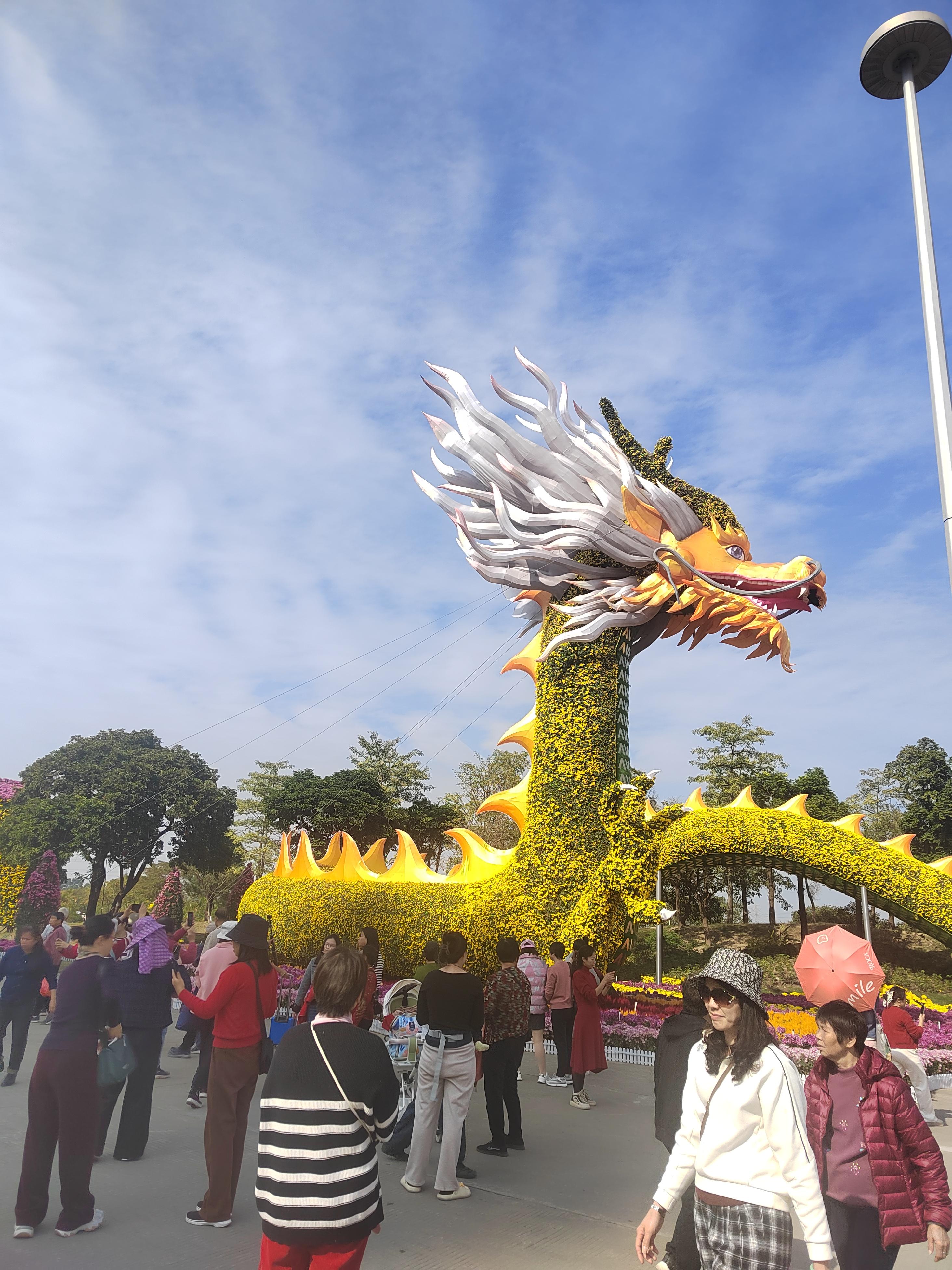 菊展的历史(菊展是啥意思)