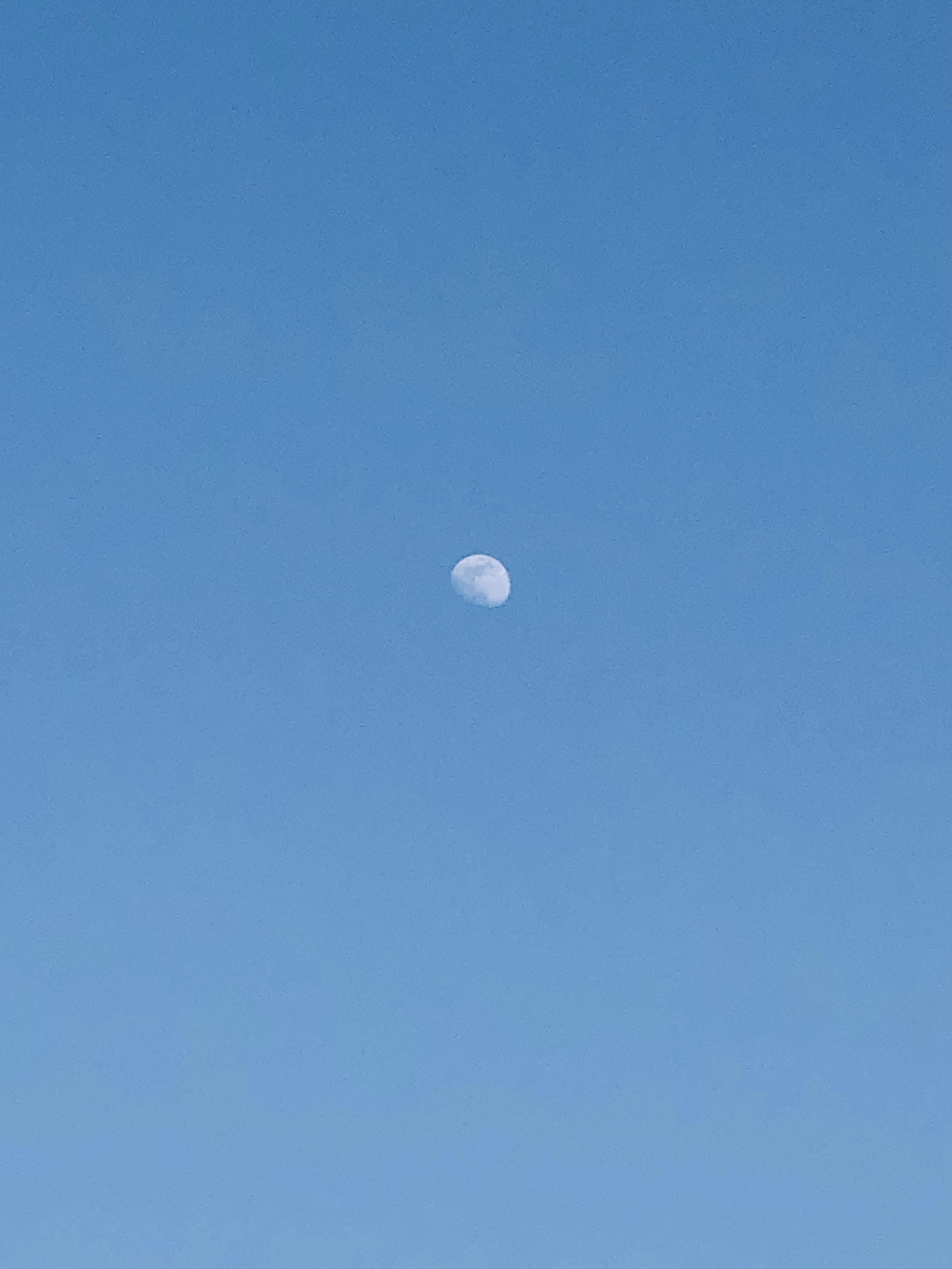 白天为什么能看到月亮