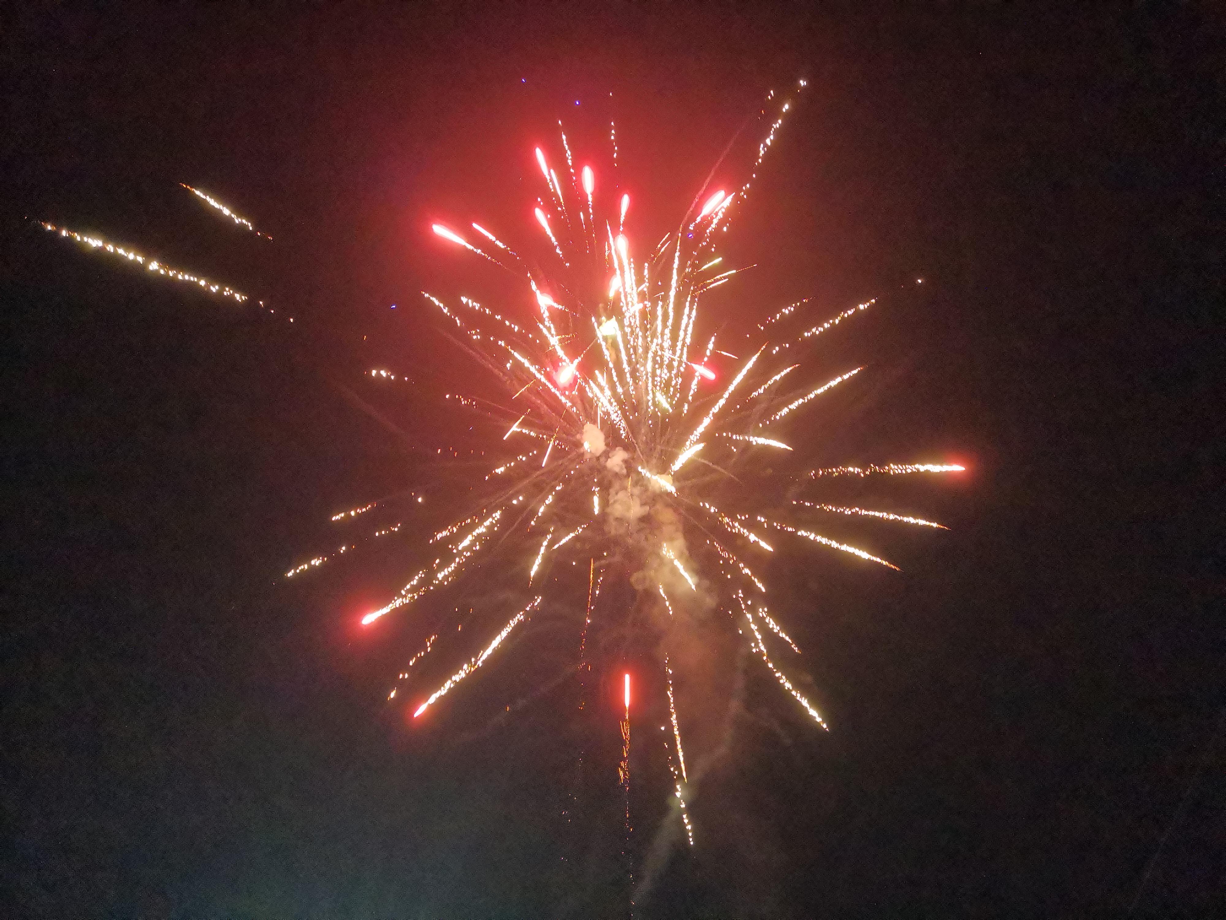 新的一岁,渡自己!愿所有的奔赴都值得~