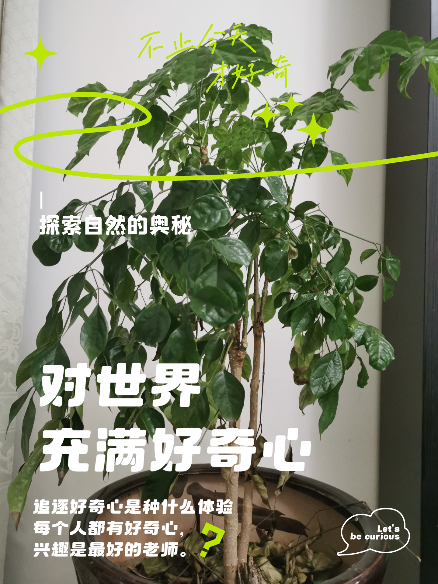 和而不同 的想法: 逆生长 |  a class="hash_tag" href="https://www.