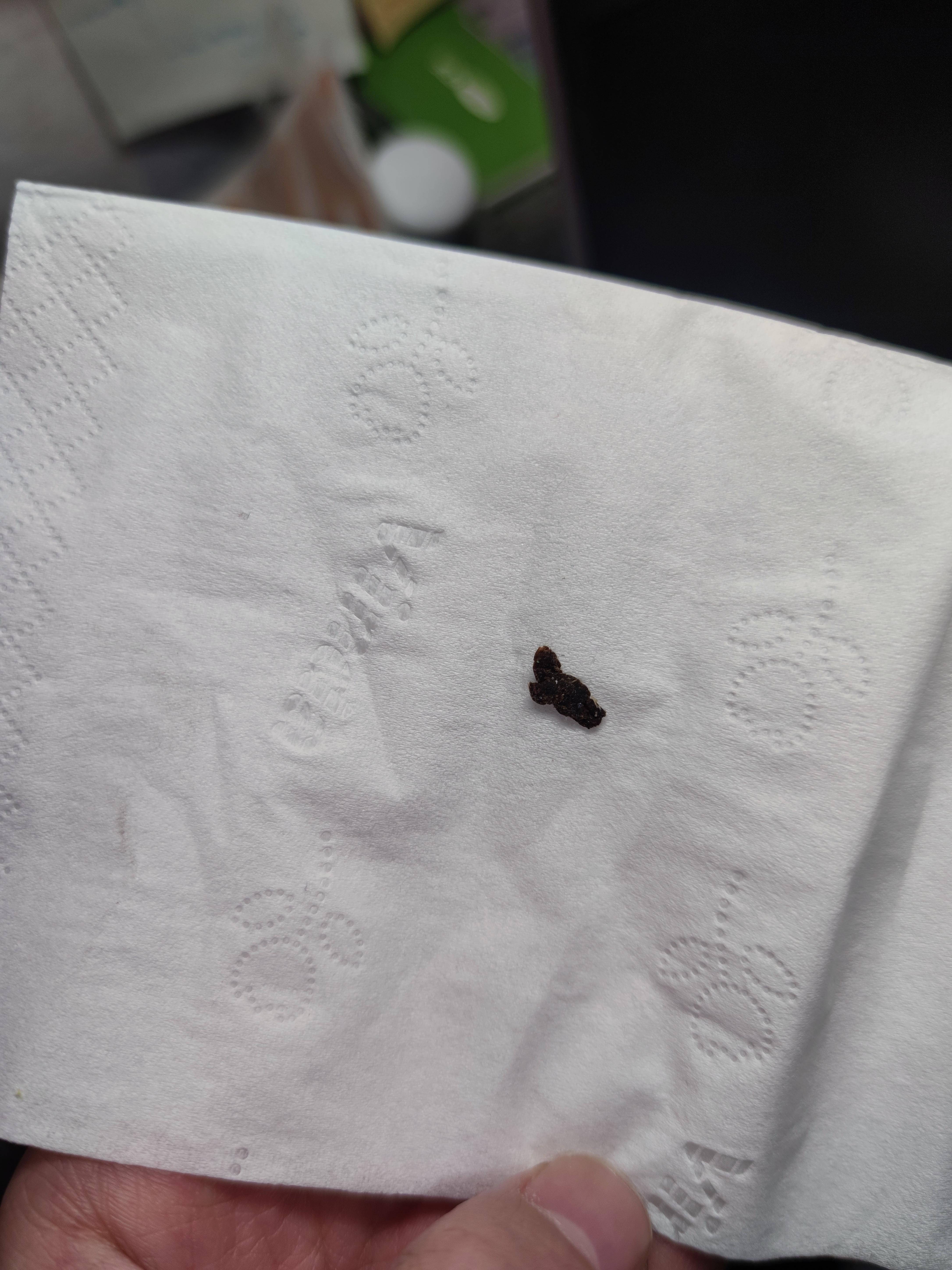 这是老鼠屎吗? | 在飘窗上惊现一粒.今早都没有,7点回家看到有.