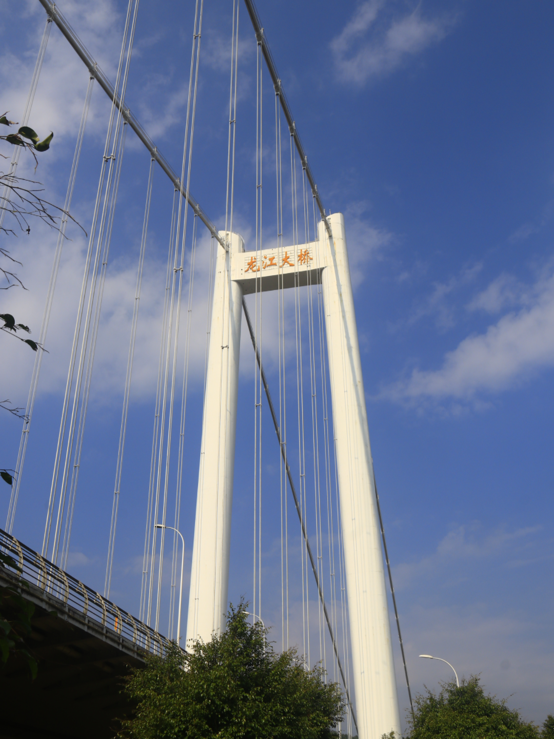 飞星 的想法: 龙江特大桥 #我的摄影日记 龙江大桥,亦称龙江特大桥