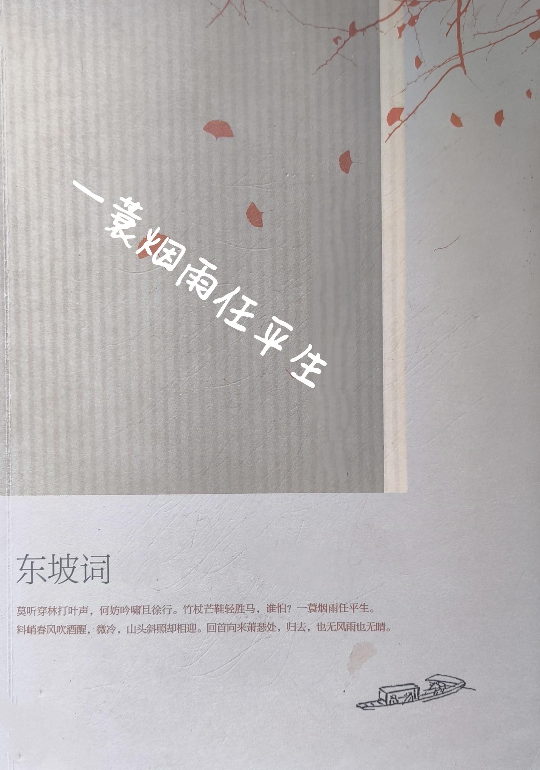 细雨归舟林寒烟卿txt
