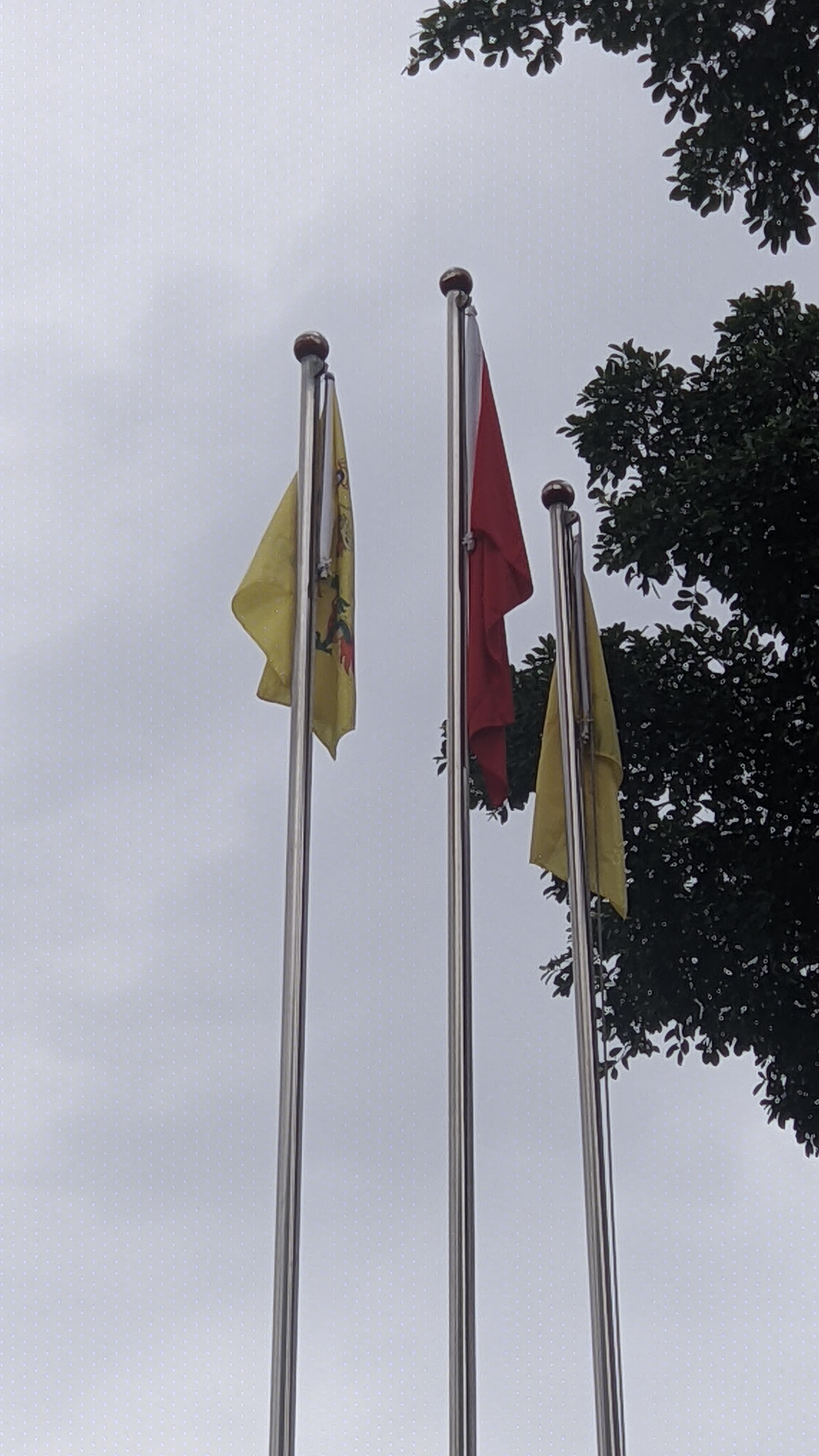  br>为什么还有黄龙旗🤔 - 知乎